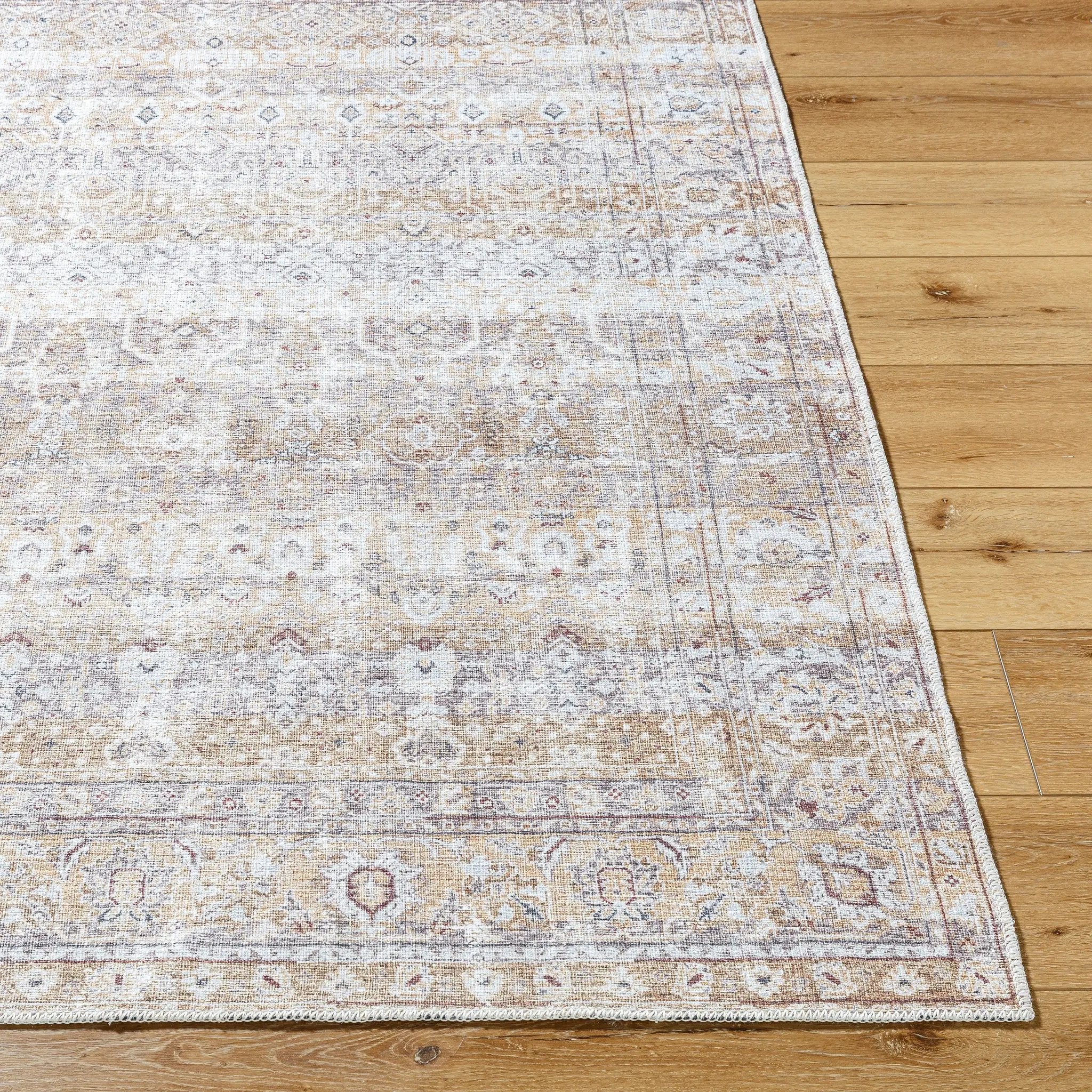 Amelie AML-2400 Beige Area Rug by LIVABLISS