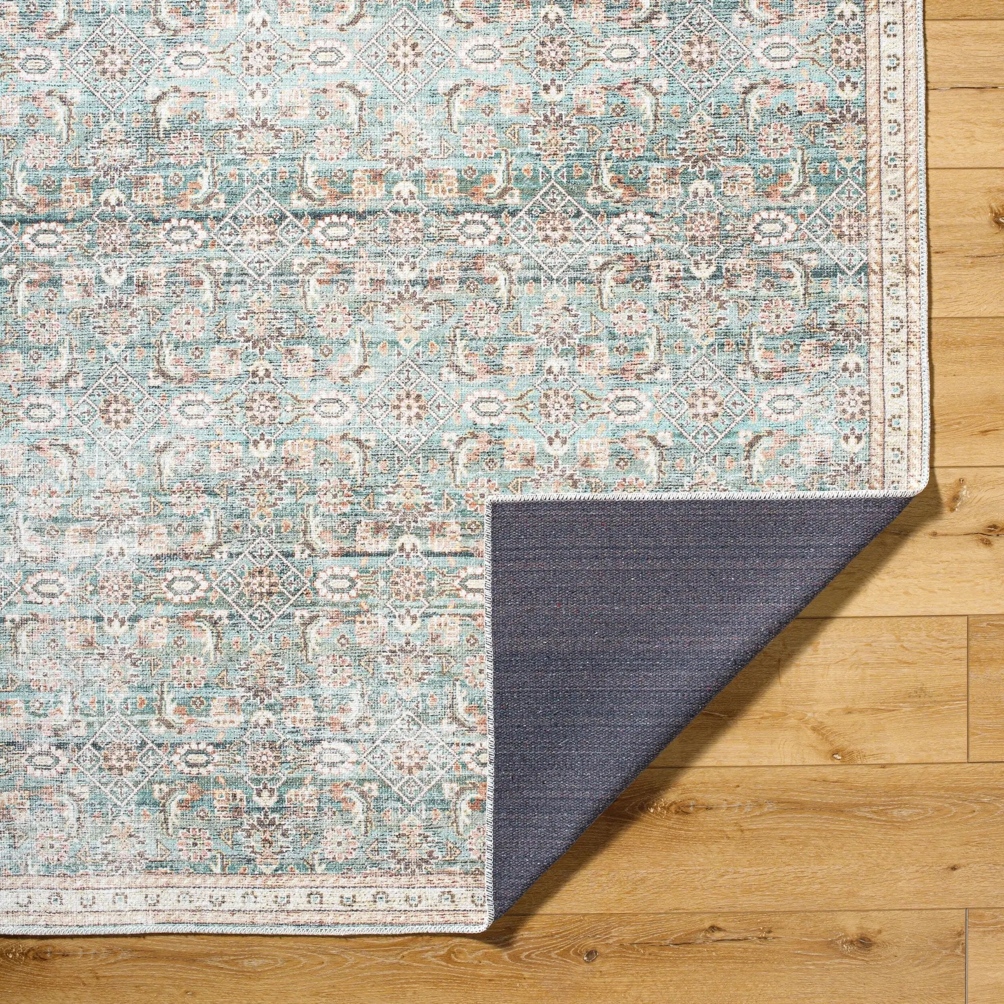 Amelie AML-2403 Pale-Blue Area Rug by LIVABLISS