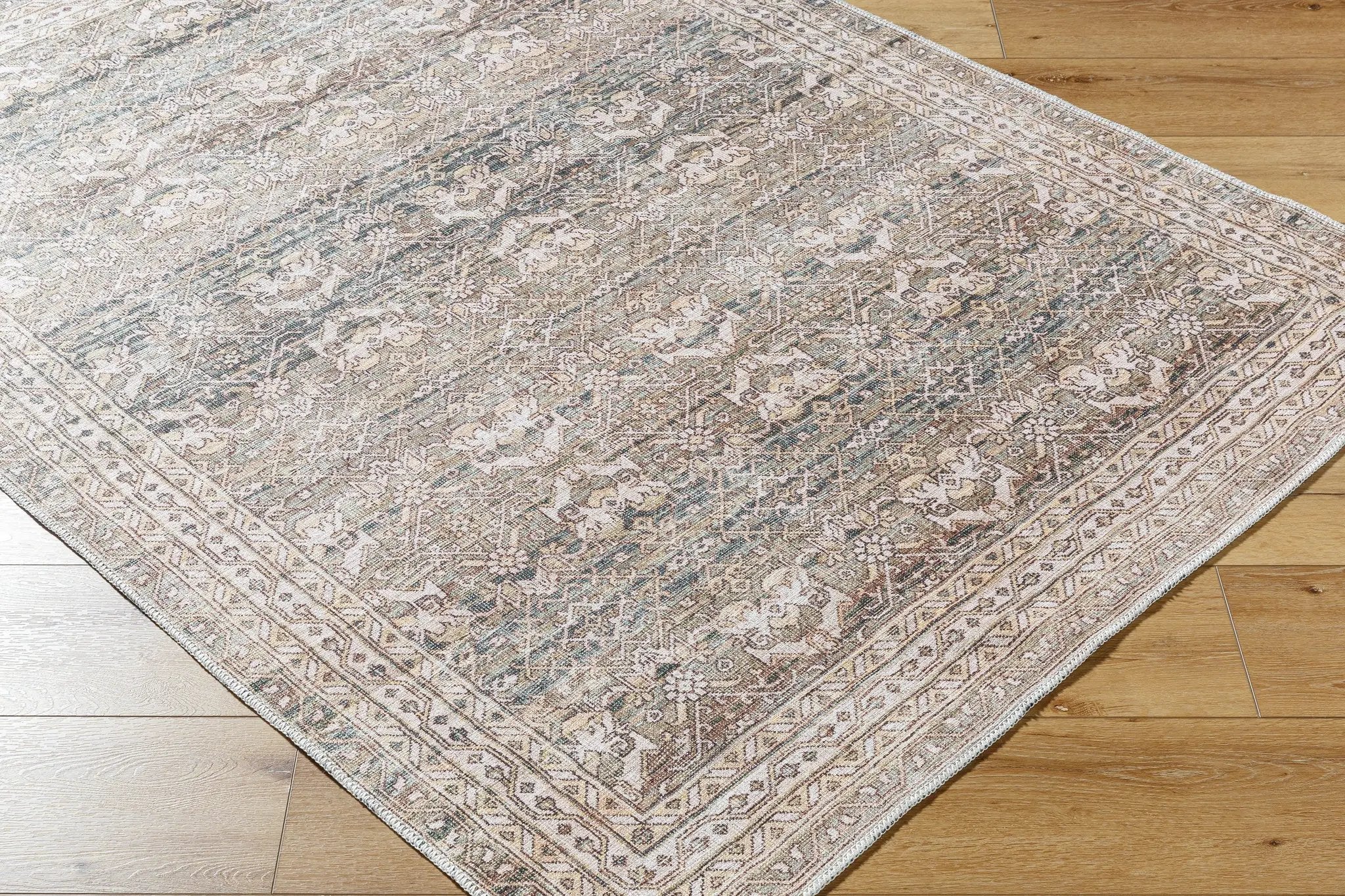 Amelie AML-2404 Medium-Green Area Rug by LIVABLISS