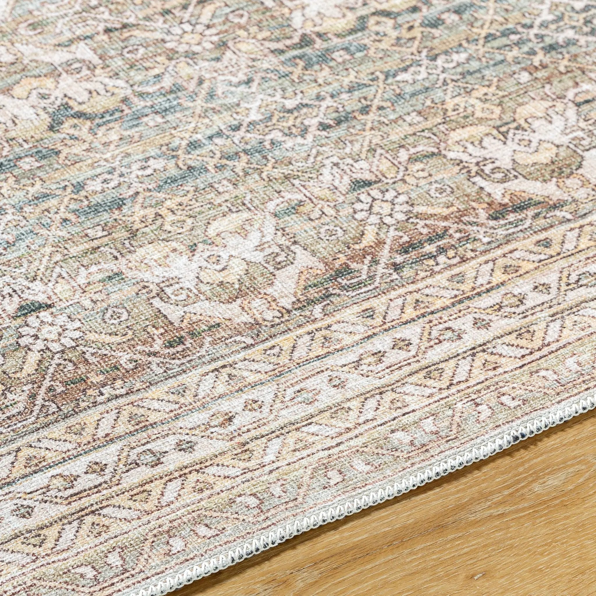 Amelie AML-2404 Medium-Green Area Rug by LIVABLISS