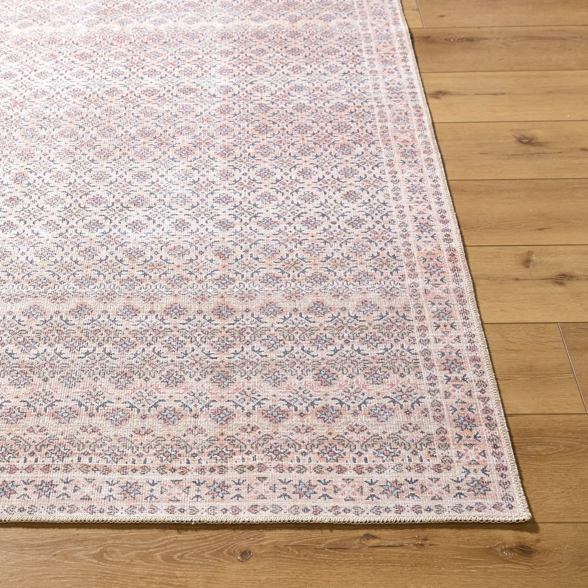 Amelie AML-2405 Beige Area Rug by LIVABLISS