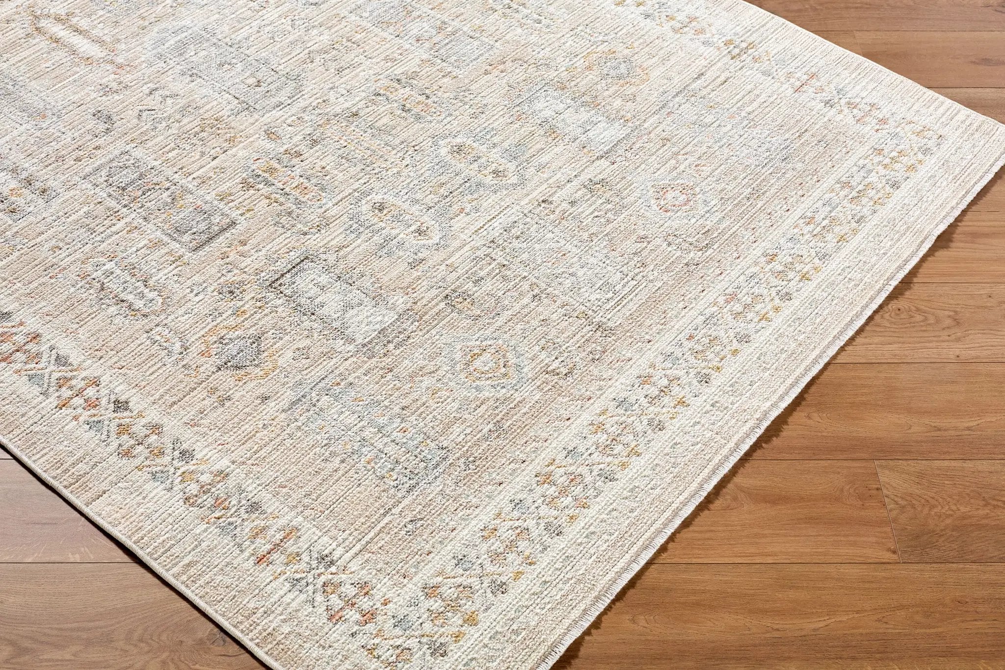 Amir AMR-2300 Beige Area Rug by LIVABLISS