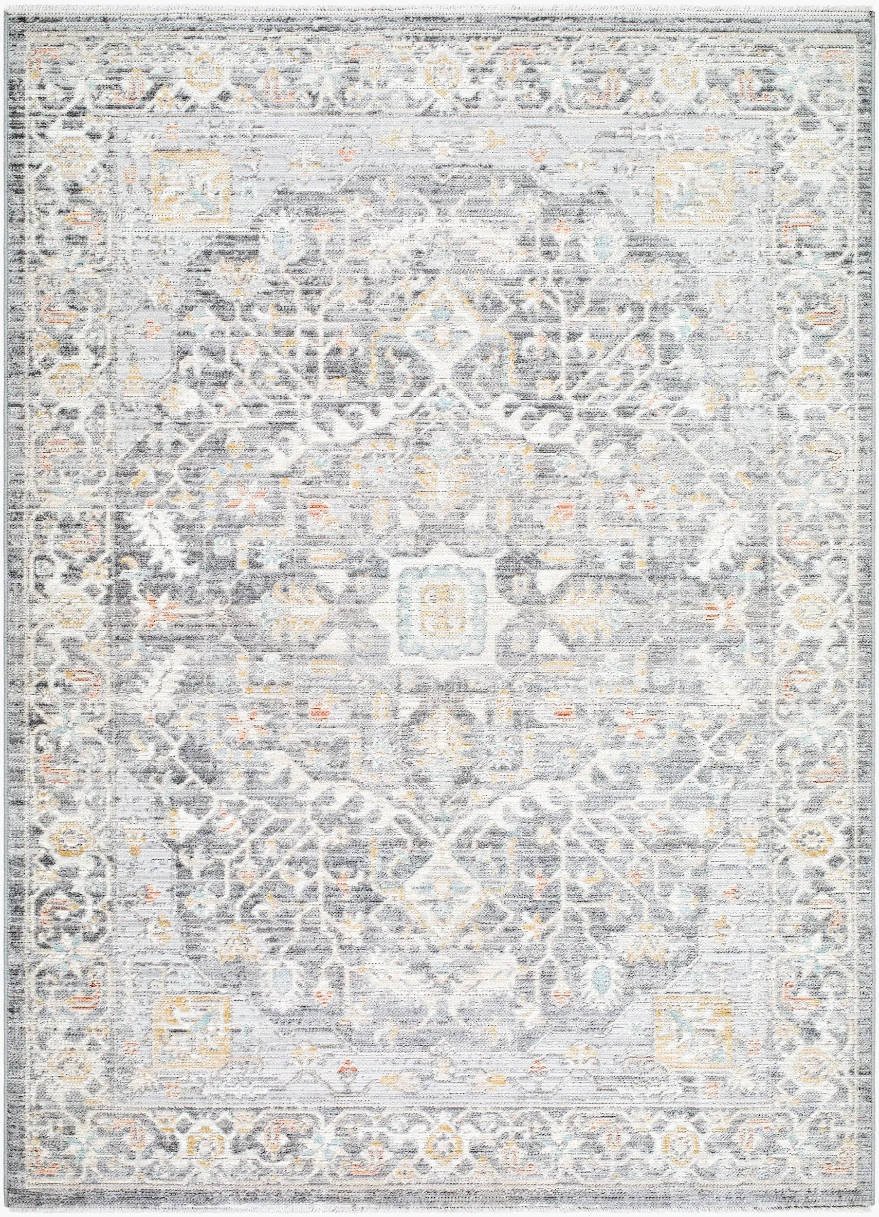 Amir AMR-2303 Multicolor Area Rug by LIVABLISS