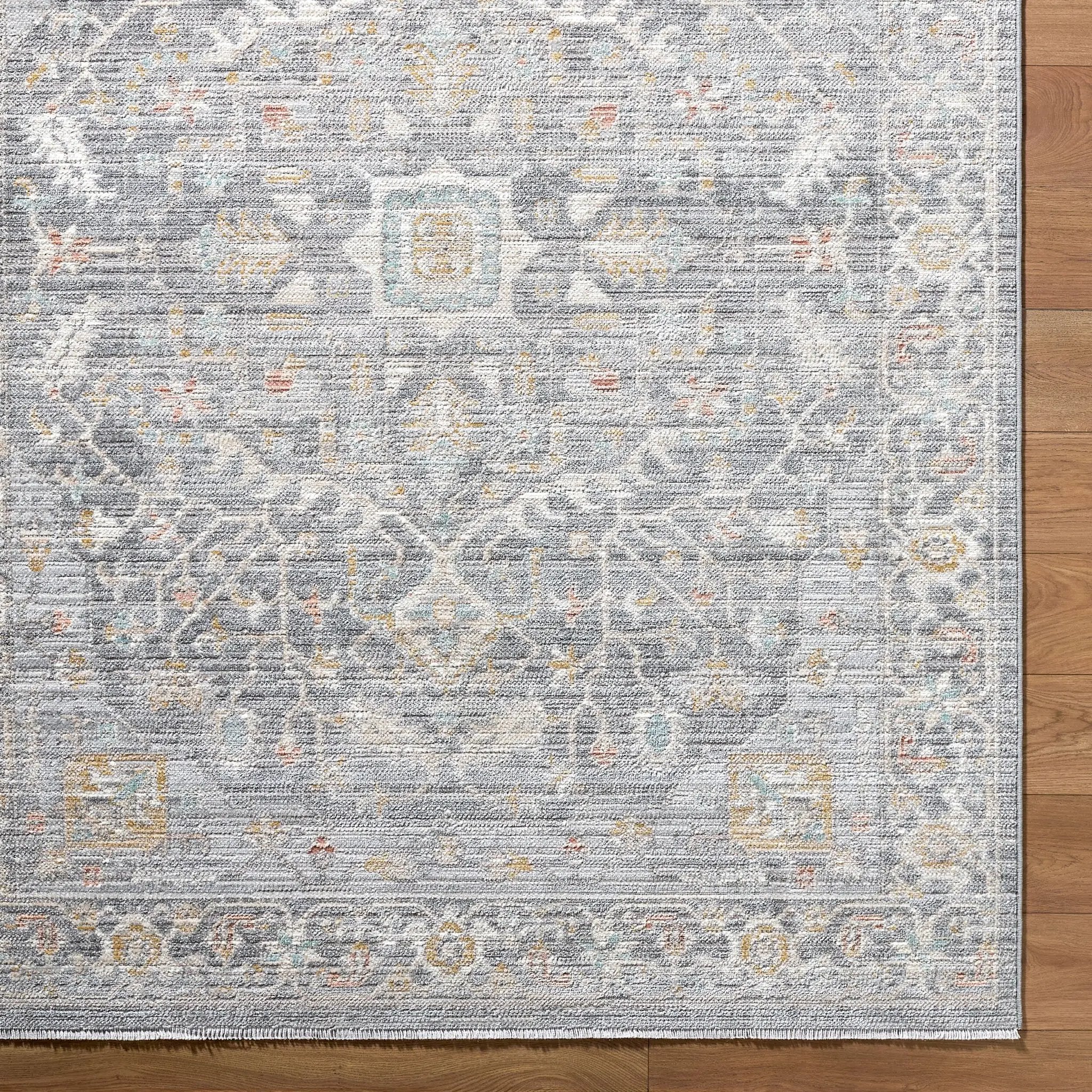 Amir AMR-2303 Multicolor Area Rug by LIVABLISS