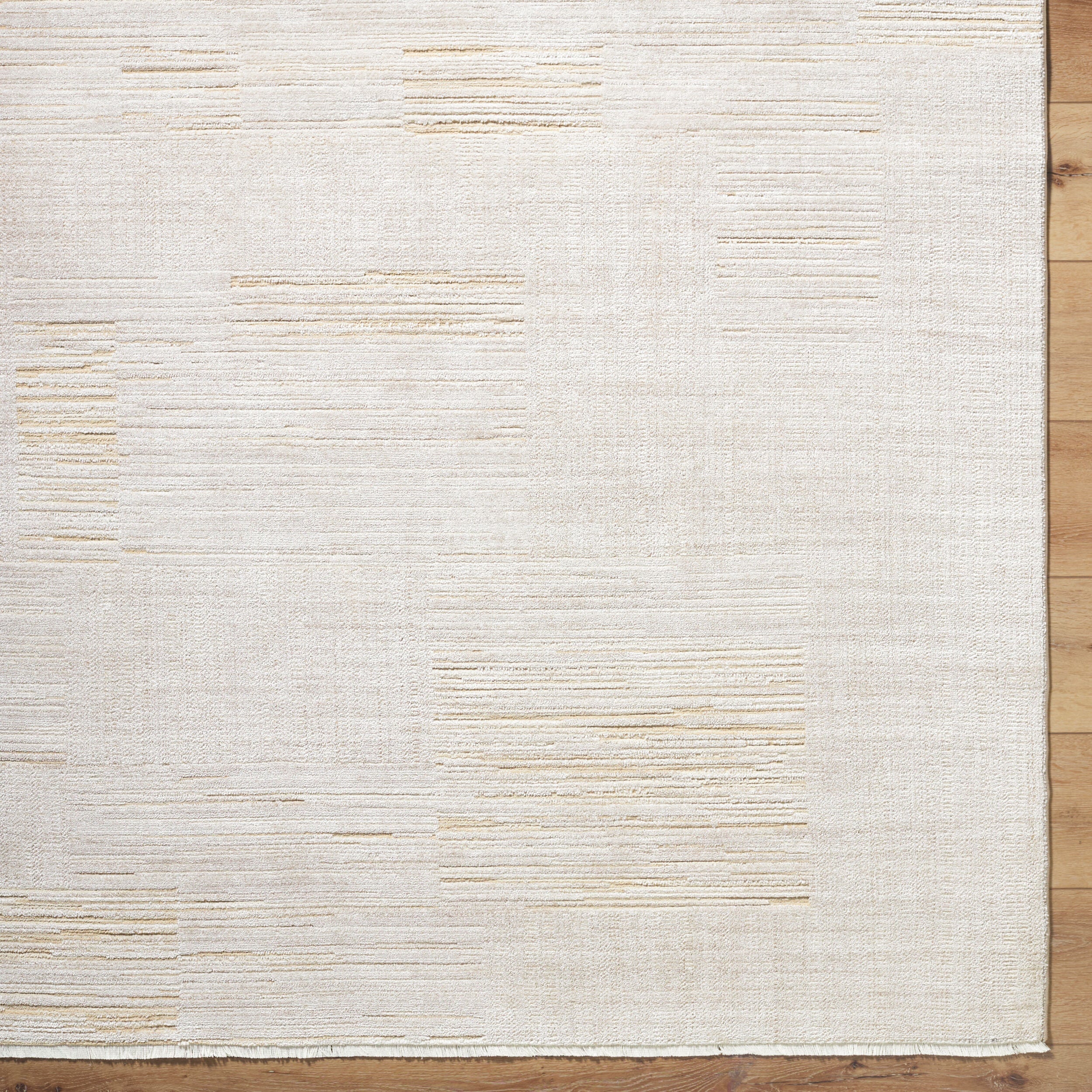 Alston AON-2306 Ivory Area Rug
