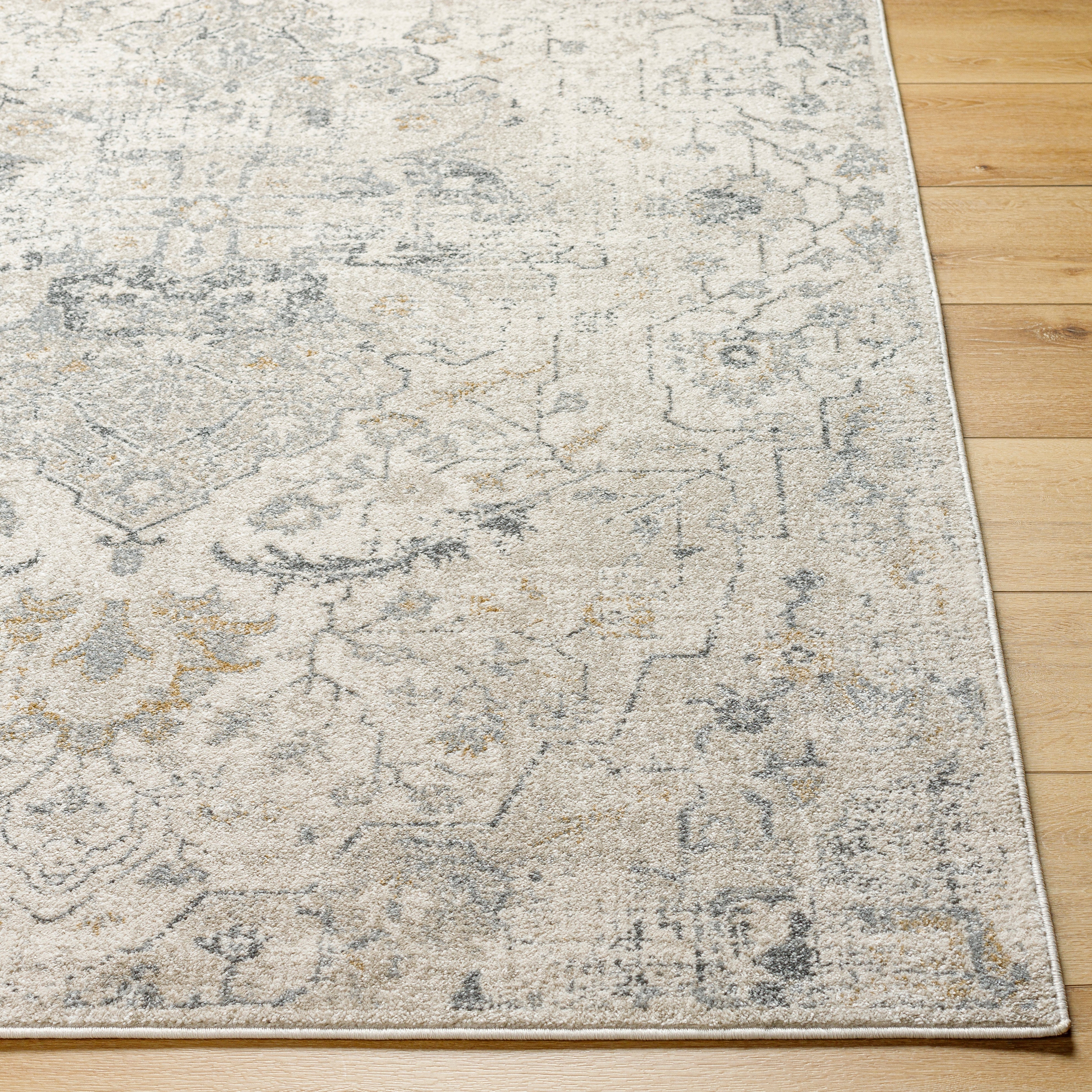 Surya Alpharetta APH-2307 Cream Area Rug by LIVABLISS