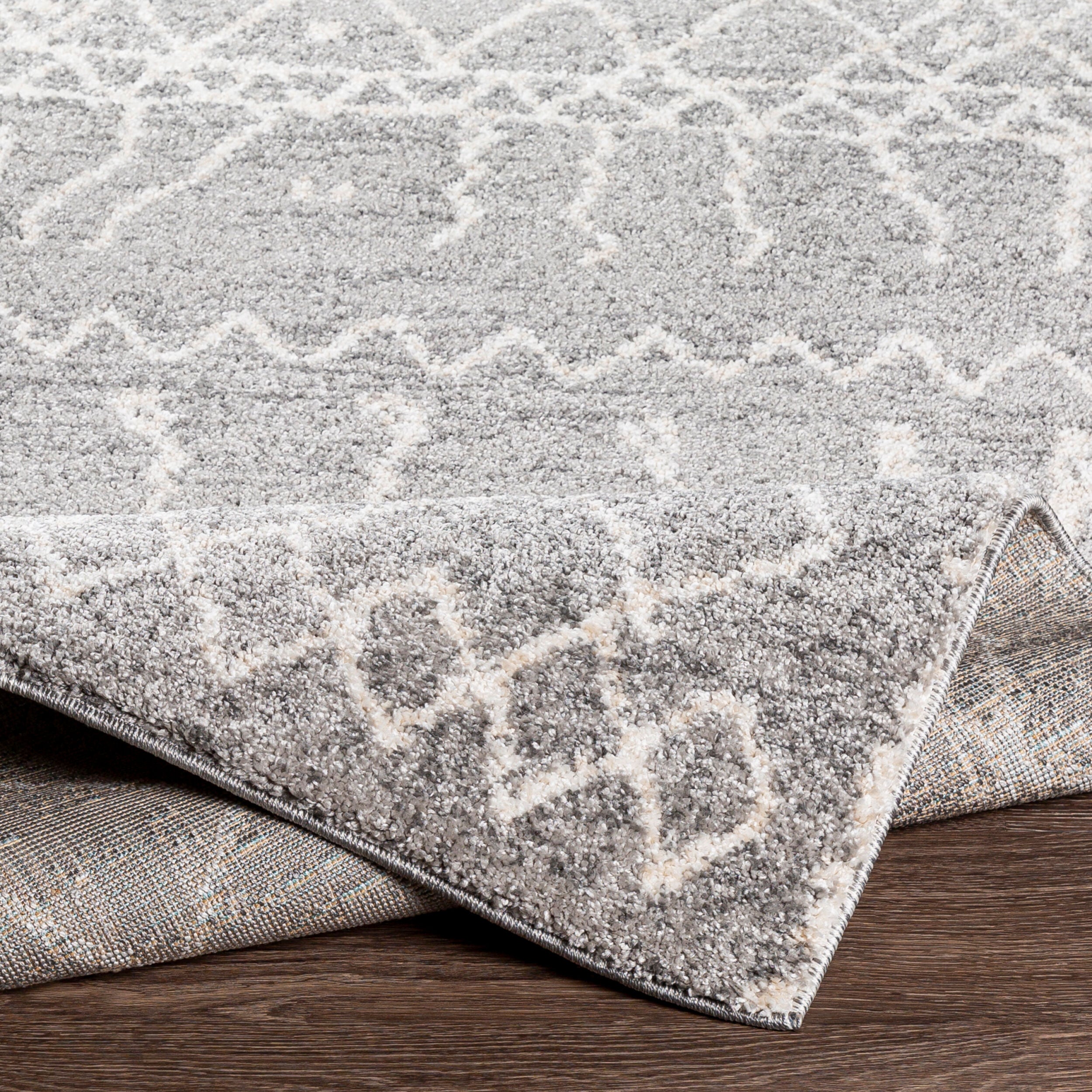 Andorra ARD-2304 Gray Area Rug