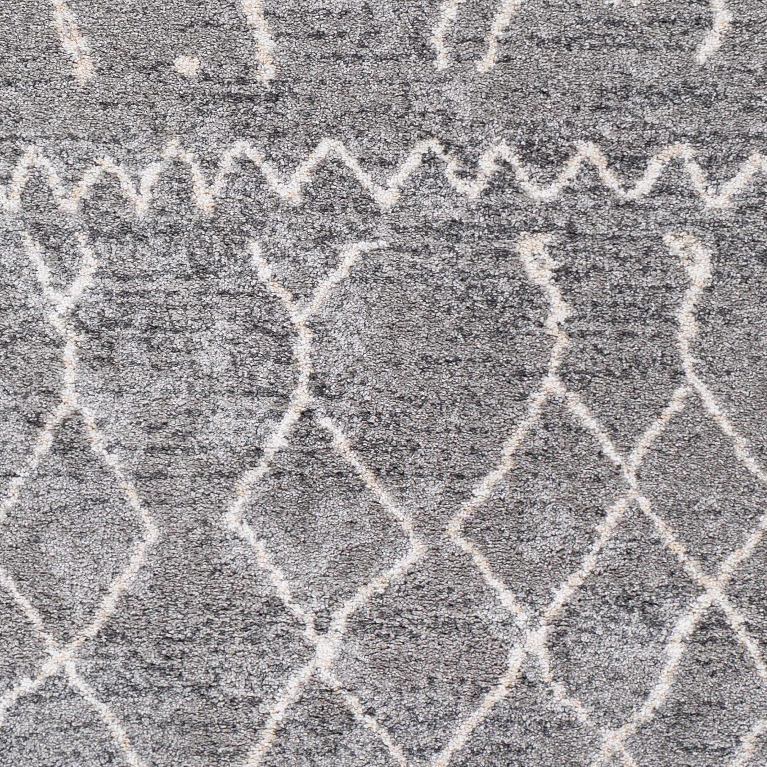 Andorra ARD-2304 Gray Area Rug