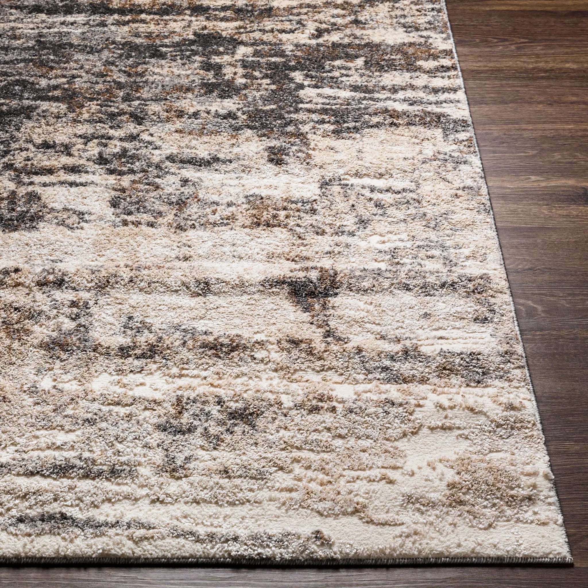 Andorra ARD-2305 Charcoal Area Rug by LIVABLISS