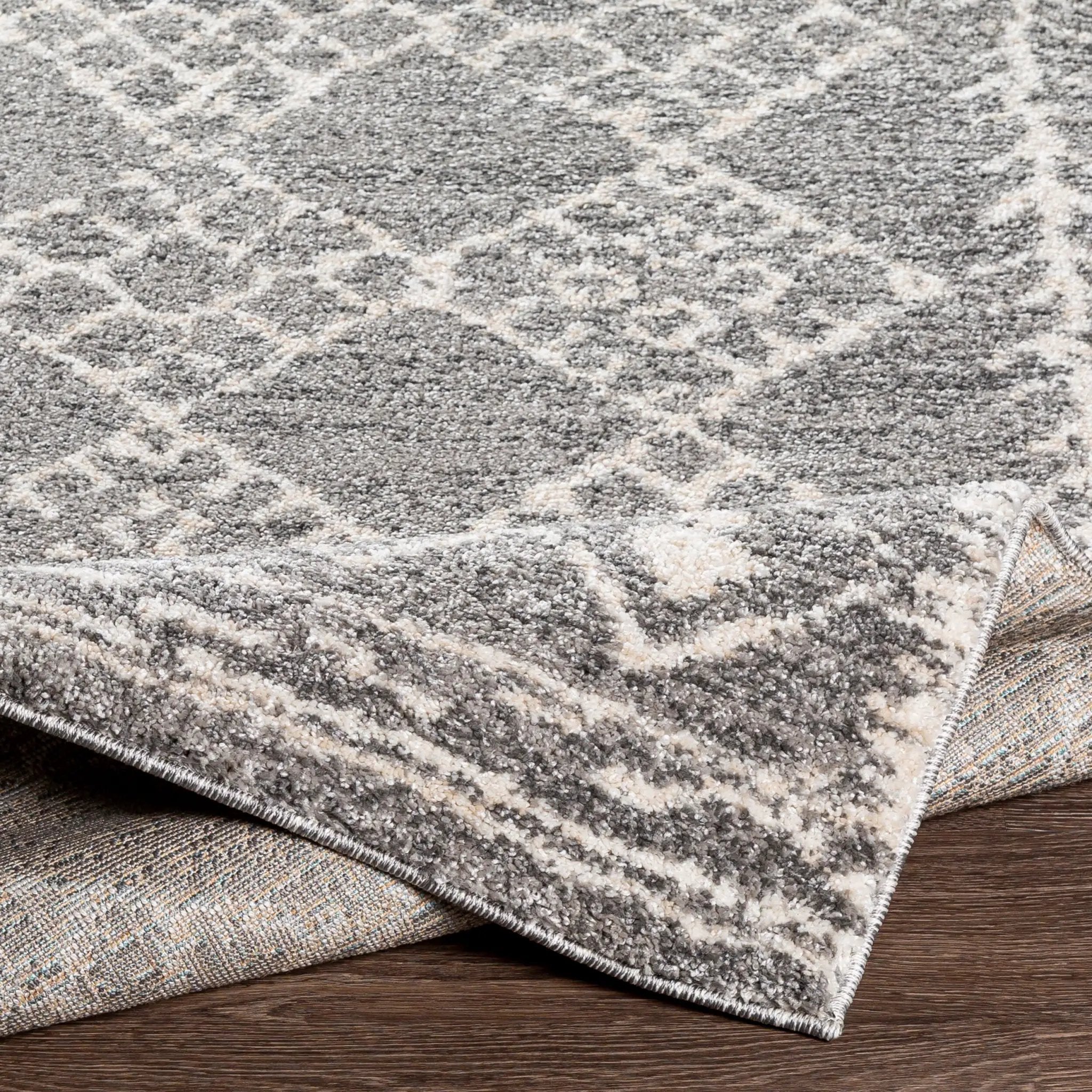 Andorra ARD-2308 Gray Area Rug by LIVABLISS