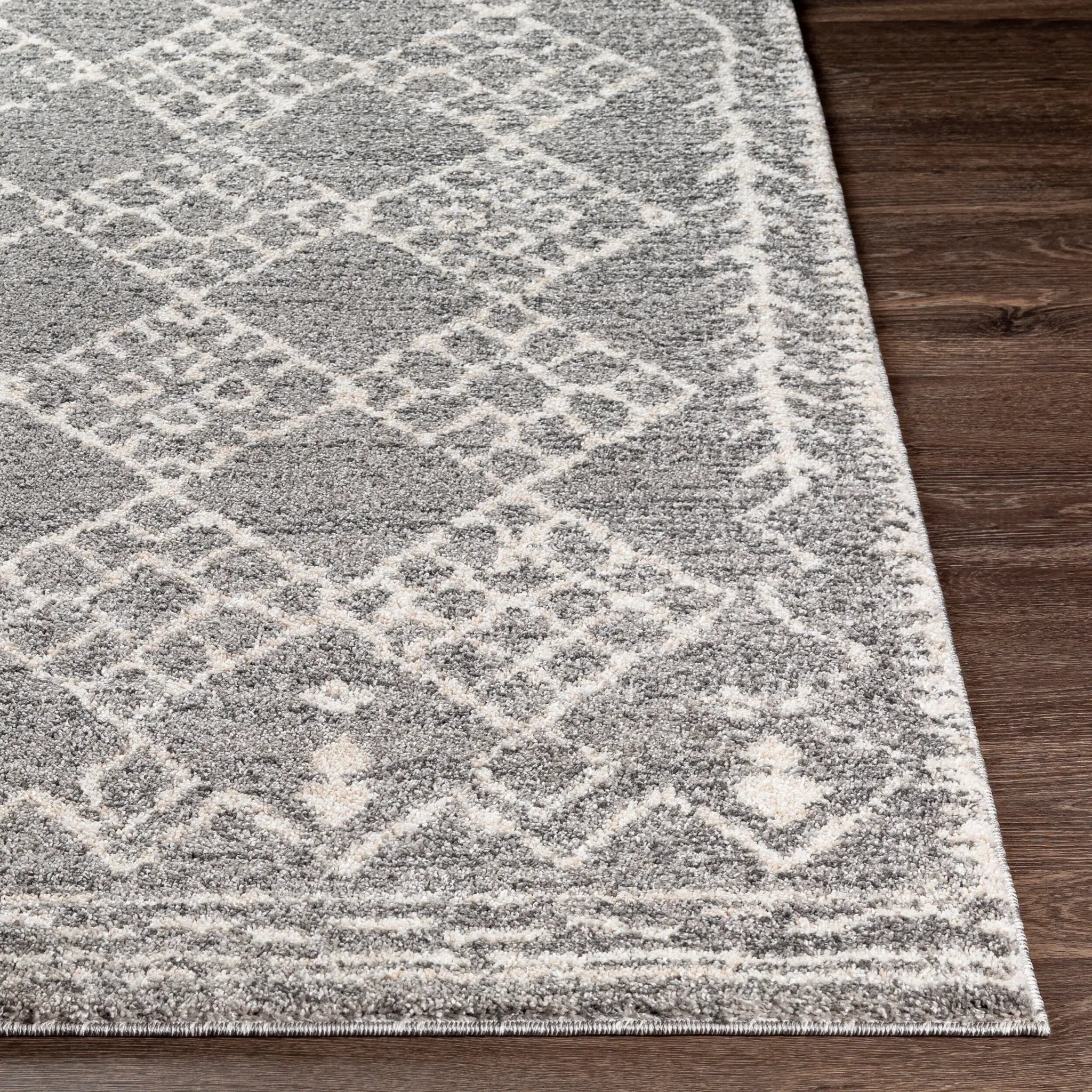 Andorra ARD-2308 Gray Area Rug by LIVABLISS