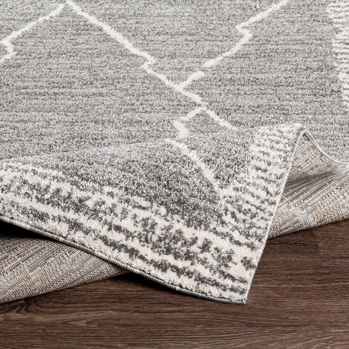 Andorra ARD-2309 Charcoal Area Rug by LIVABLISS