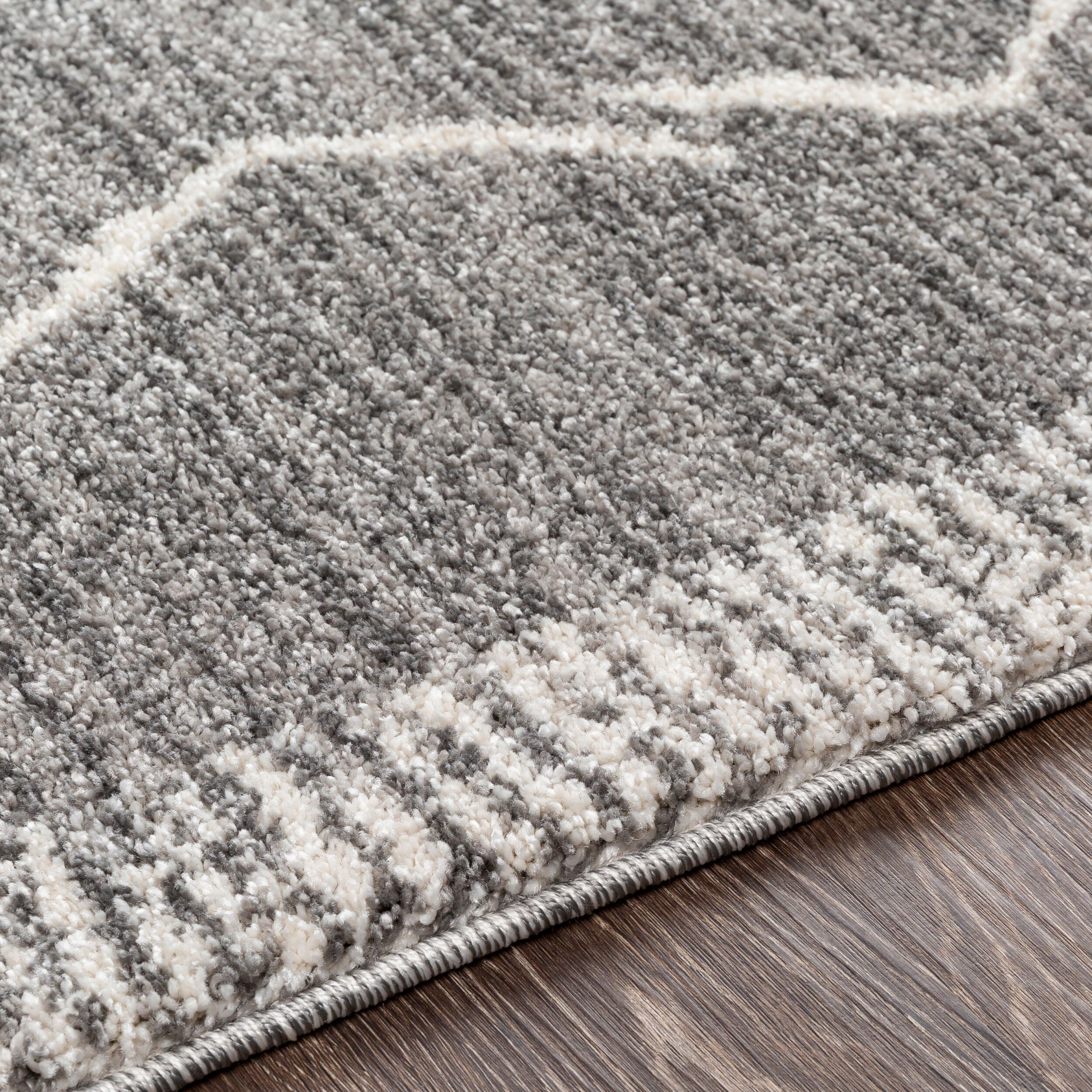 Andorra ARD-2309 Charcoal Area Rug
