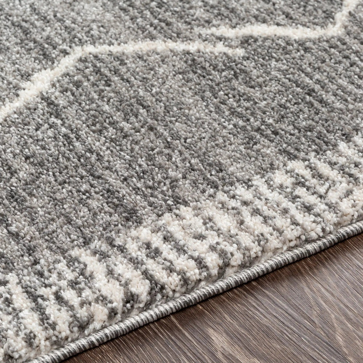 Andorra ARD-2309 Charcoal Area Rug by LIVABLISS
