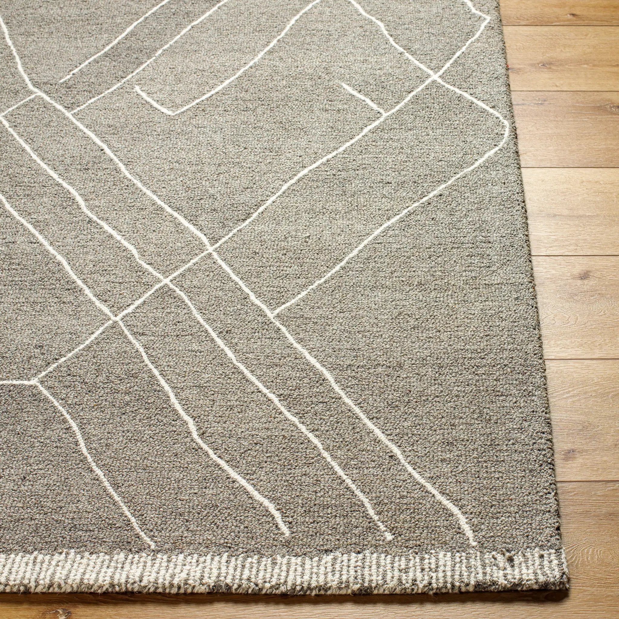 Arsenal ARL-2305 Medium-Gray Area Rug by LIVABLISS