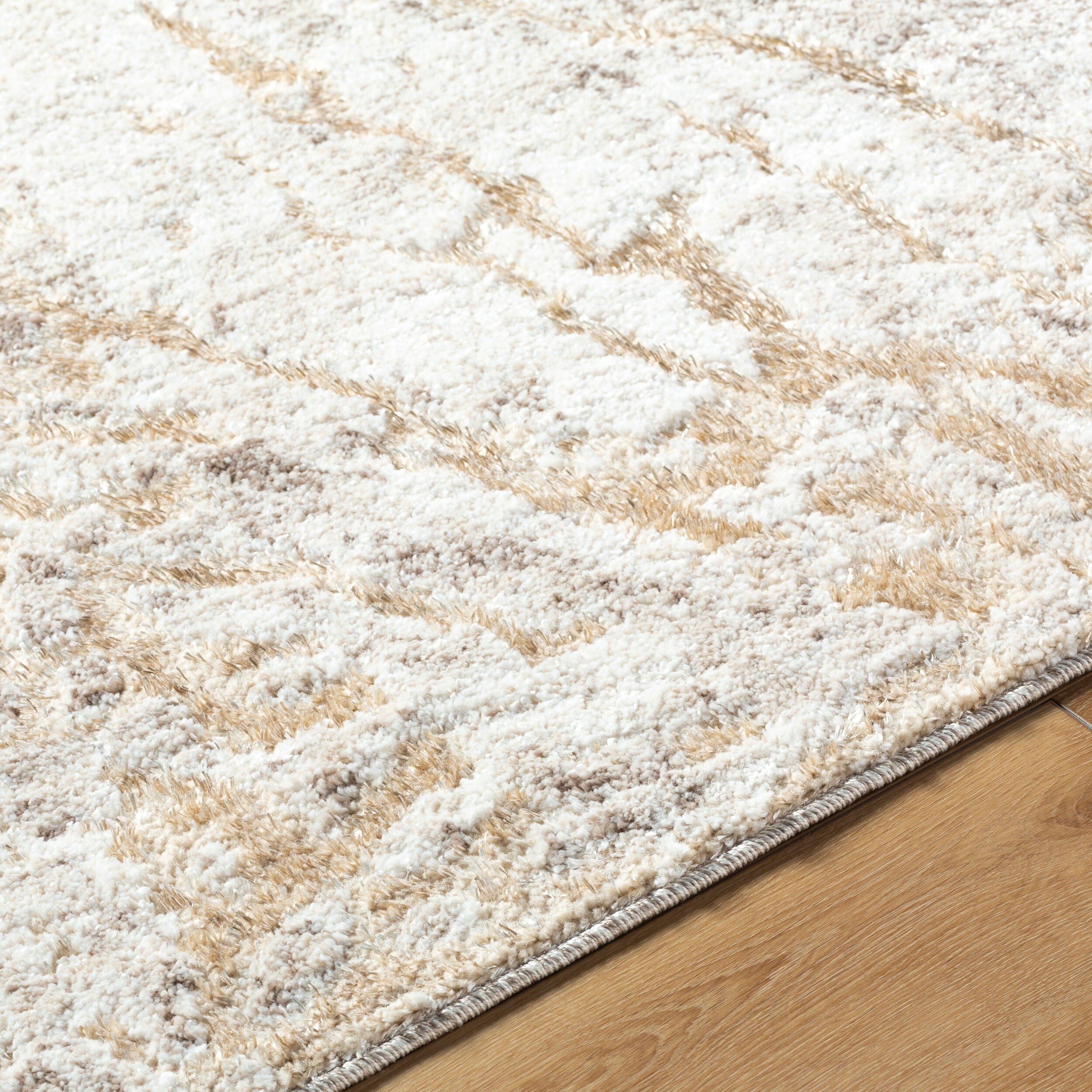 Surya Andorra Plus ARP-2300 Light Gray Area Rug by LIVABLISS