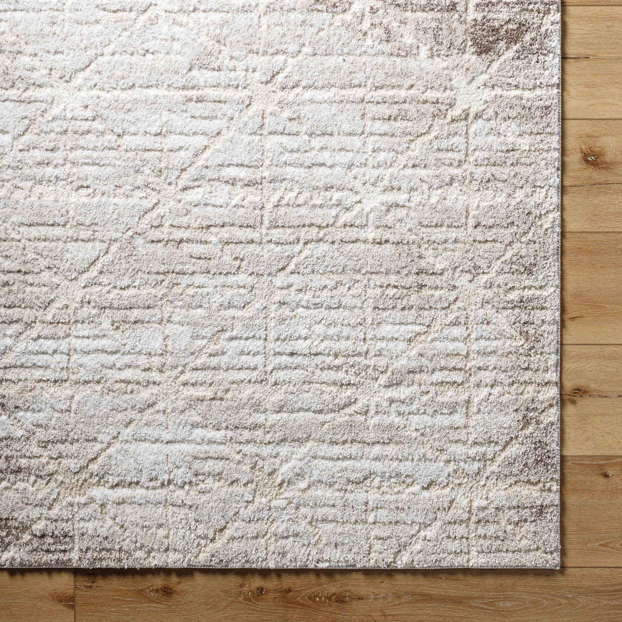 Andorra Plus ARP-2306 Light-Brown Area Rug by LIVABLISS
