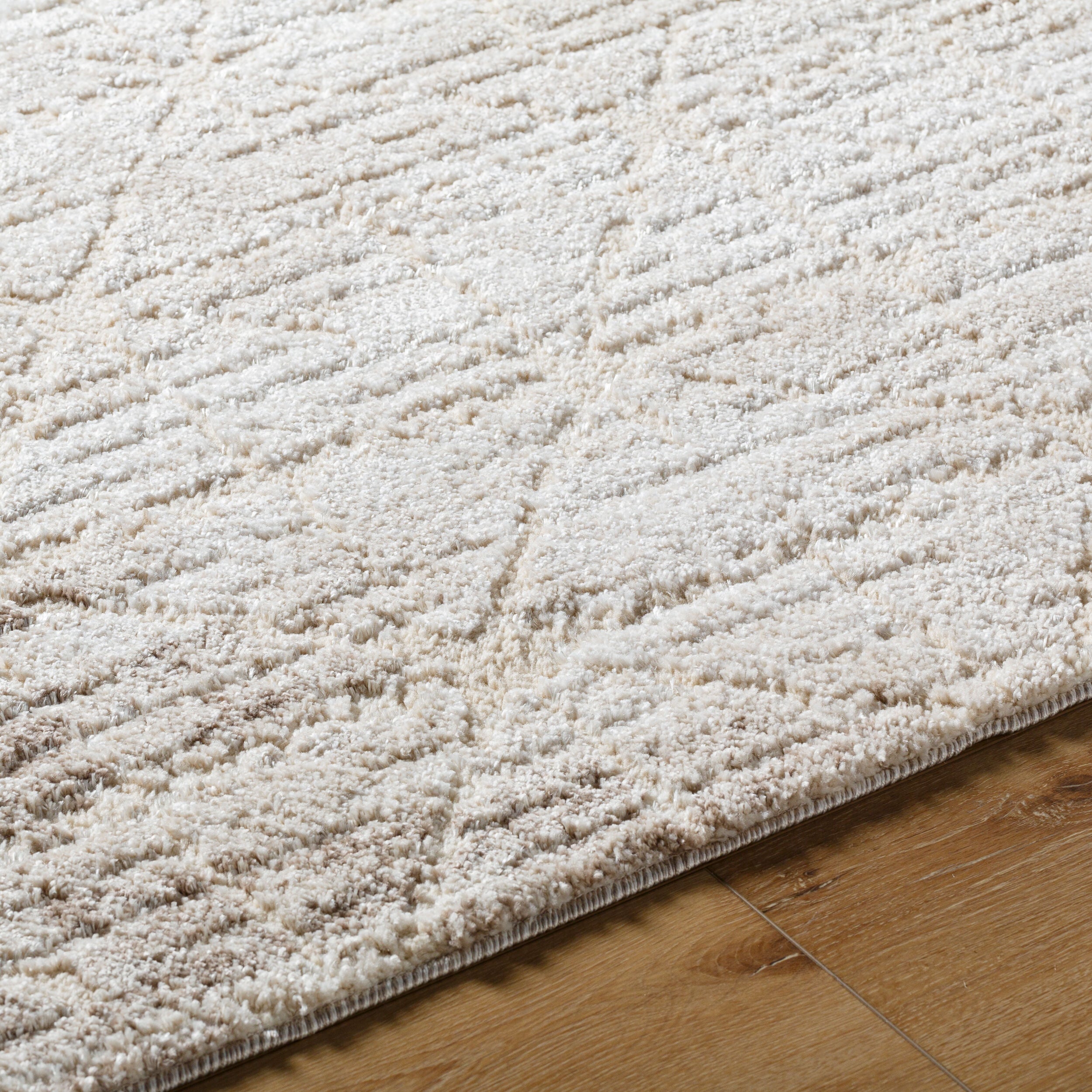 Andorra Plus ARP-2306 Light-Brown Area Rug