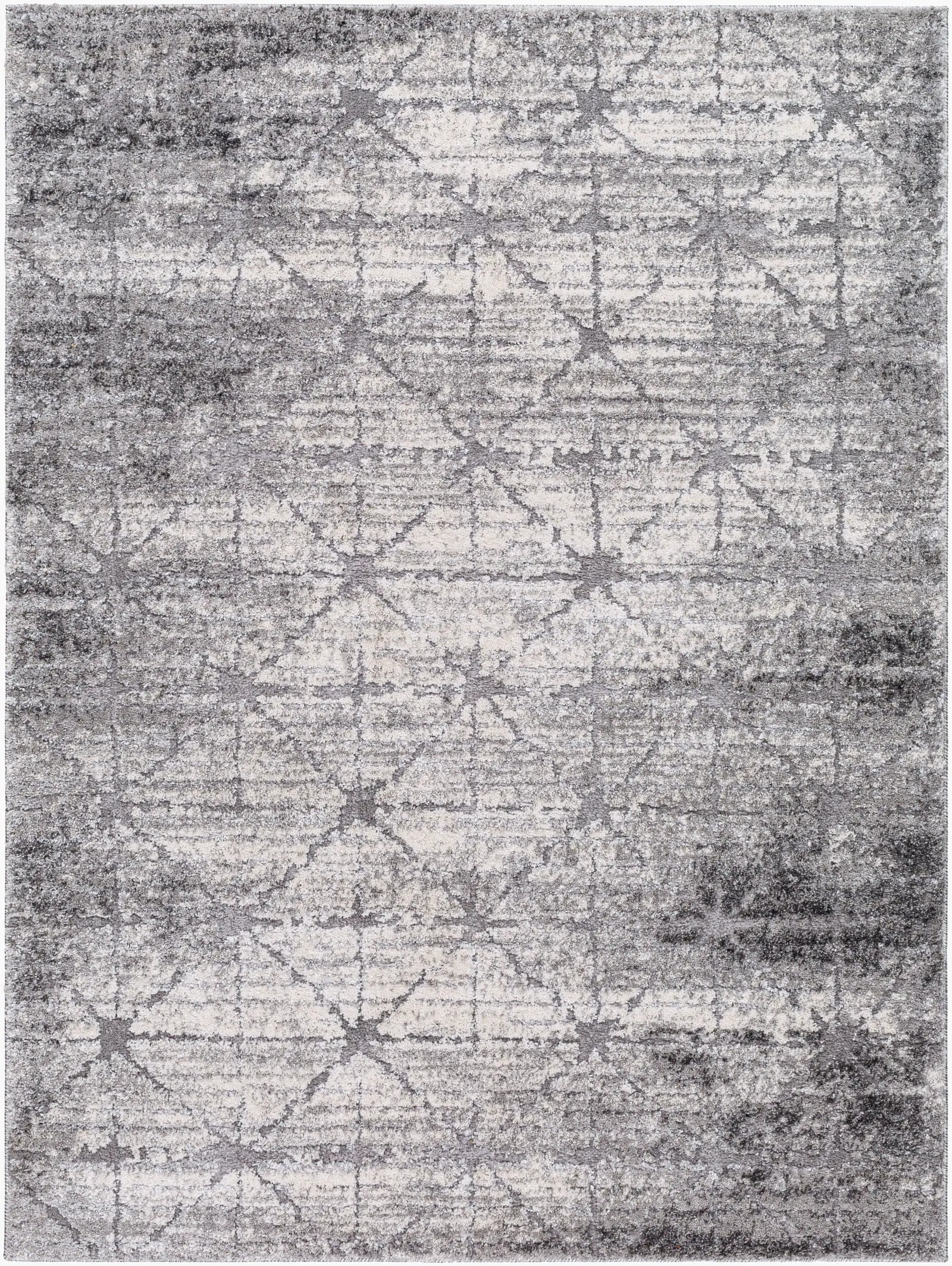 Andorra Plus ARP-2307 Charcoal Area Rug by LIVABLISS
