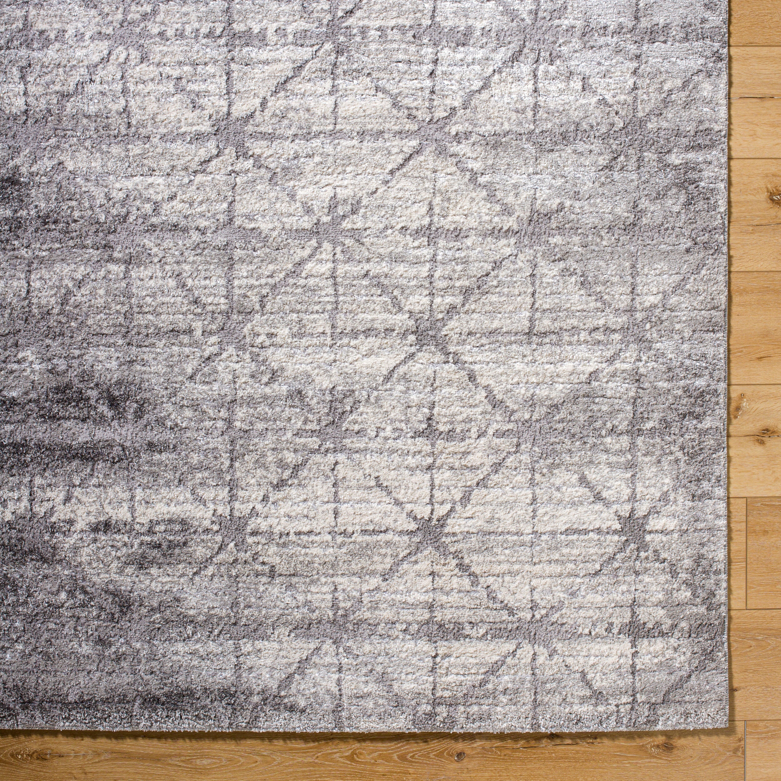 Andorra Plus ARP-2307 Charcoal Area Rug