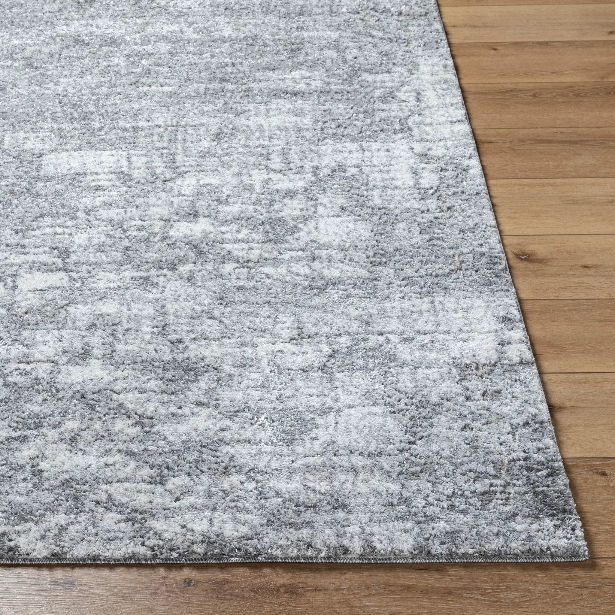 Andorra Plus ARP-2308 Black Area Rug by LIVABLISS