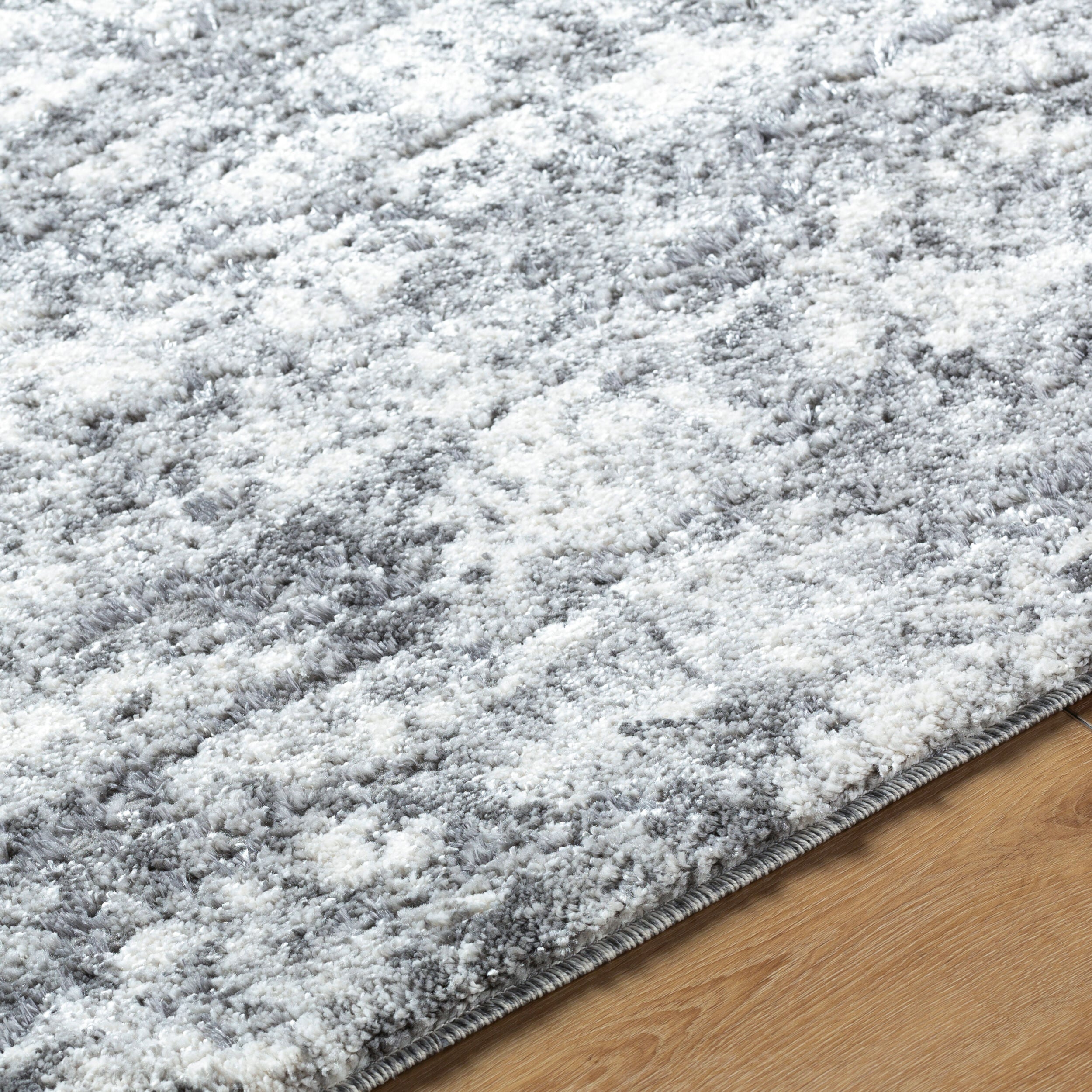 Surya Andorra Plus ARP-2308 Black Area Rug by LIVABLISS