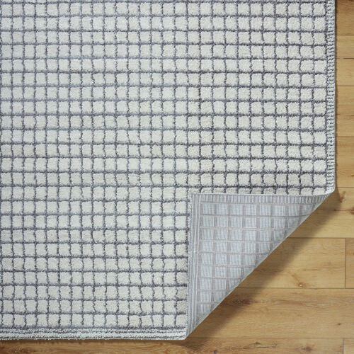 Surya Andorra Plus ARP-2309 Charcoal Area Rug by LIVABLISS