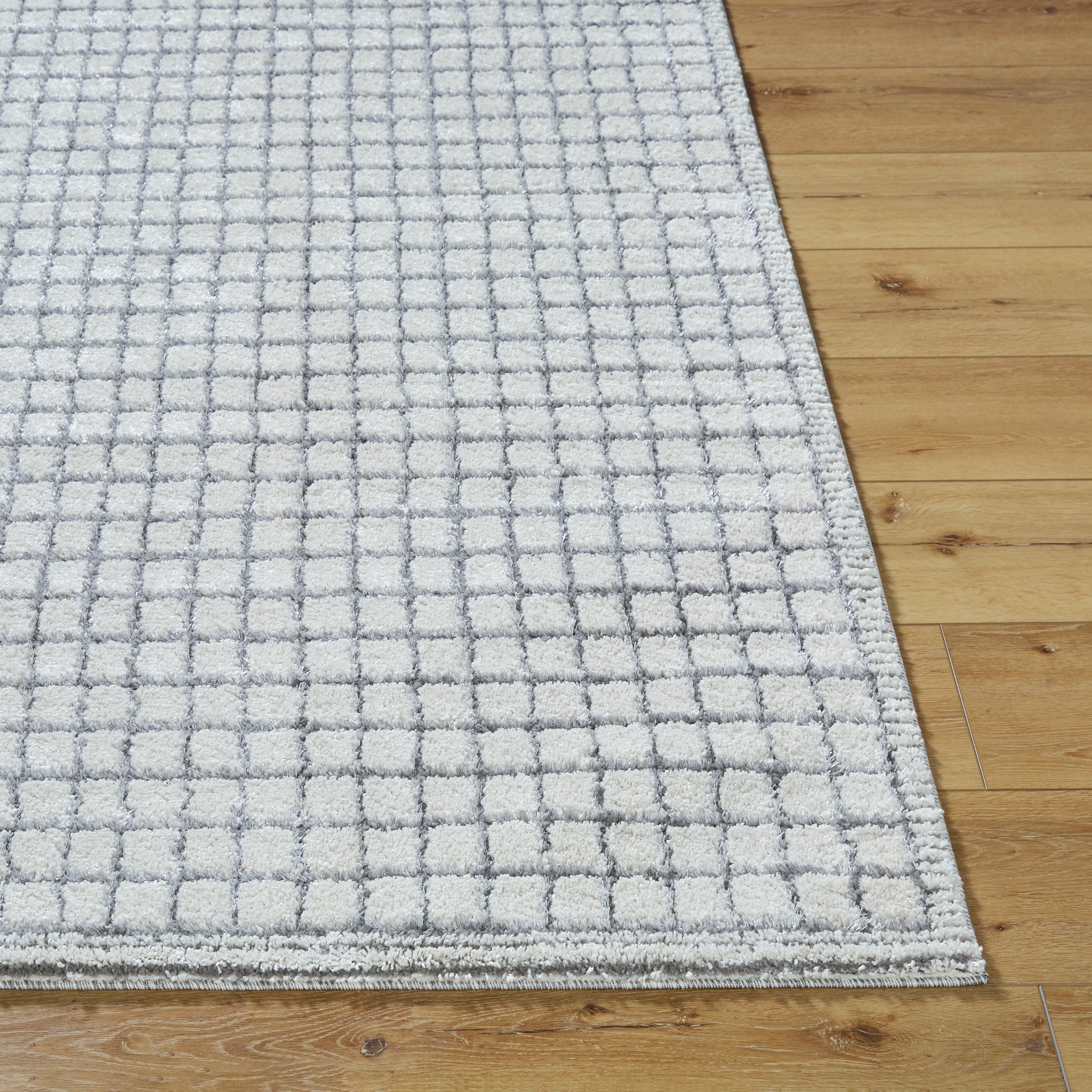 Surya Andorra Plus ARP-2309 Charcoal Area Rug by LIVABLISS