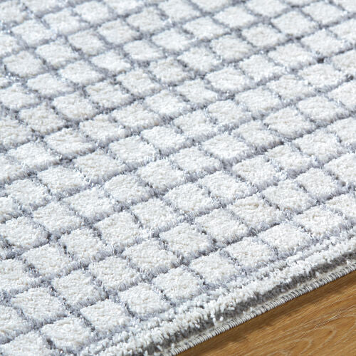 Surya Andorra Plus ARP-2309 Charcoal Area Rug by LIVABLISS