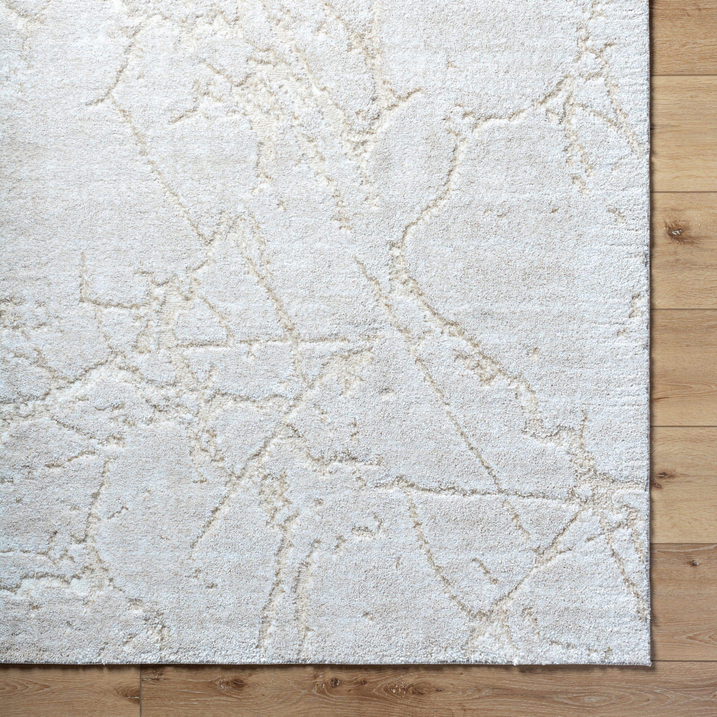 Andorra Plus ARP-2312 White Area Rug
