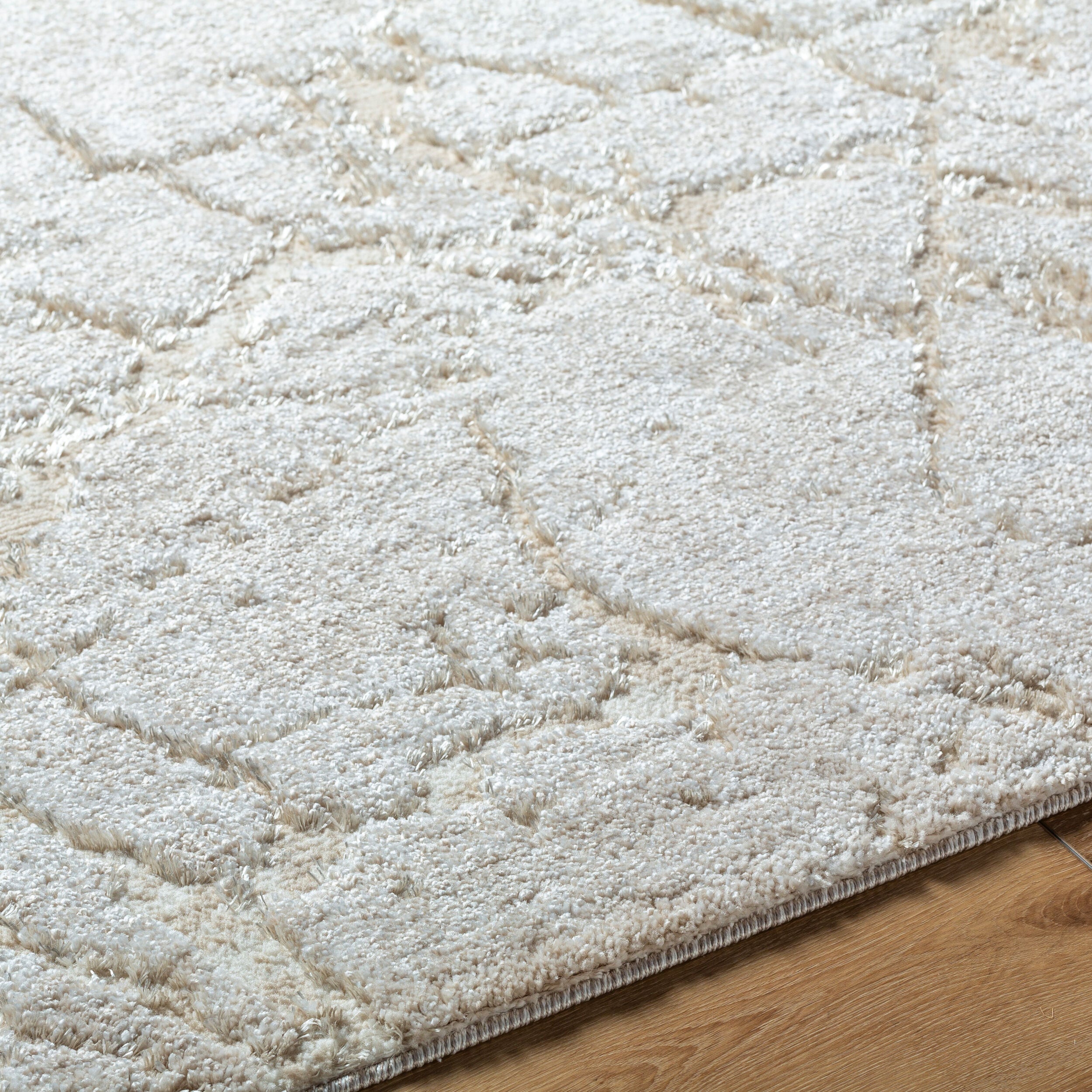 Andorra Plus ARP-2312 White Area Rug