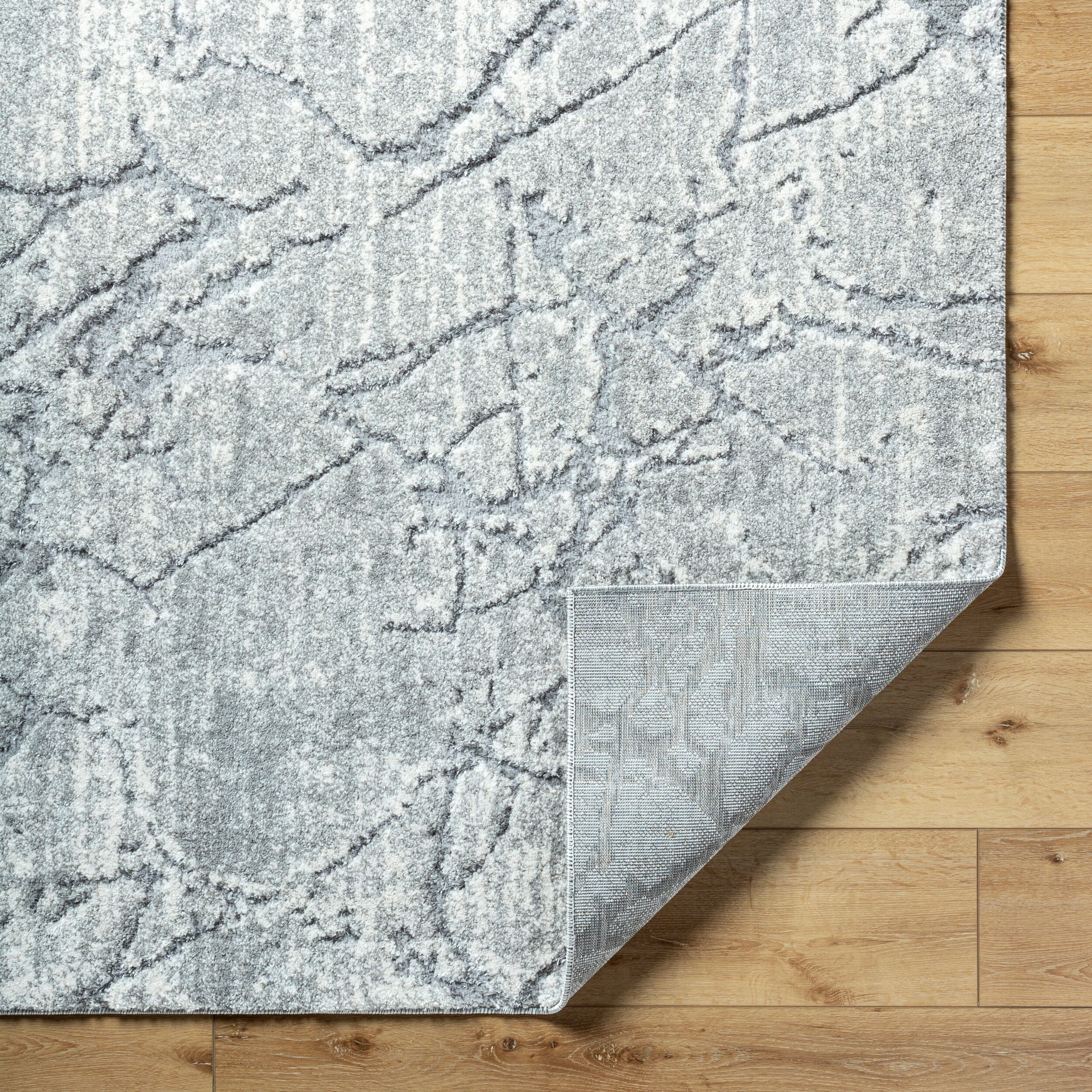 Andorra Plus ARP-2313 Light Gray Area Rug