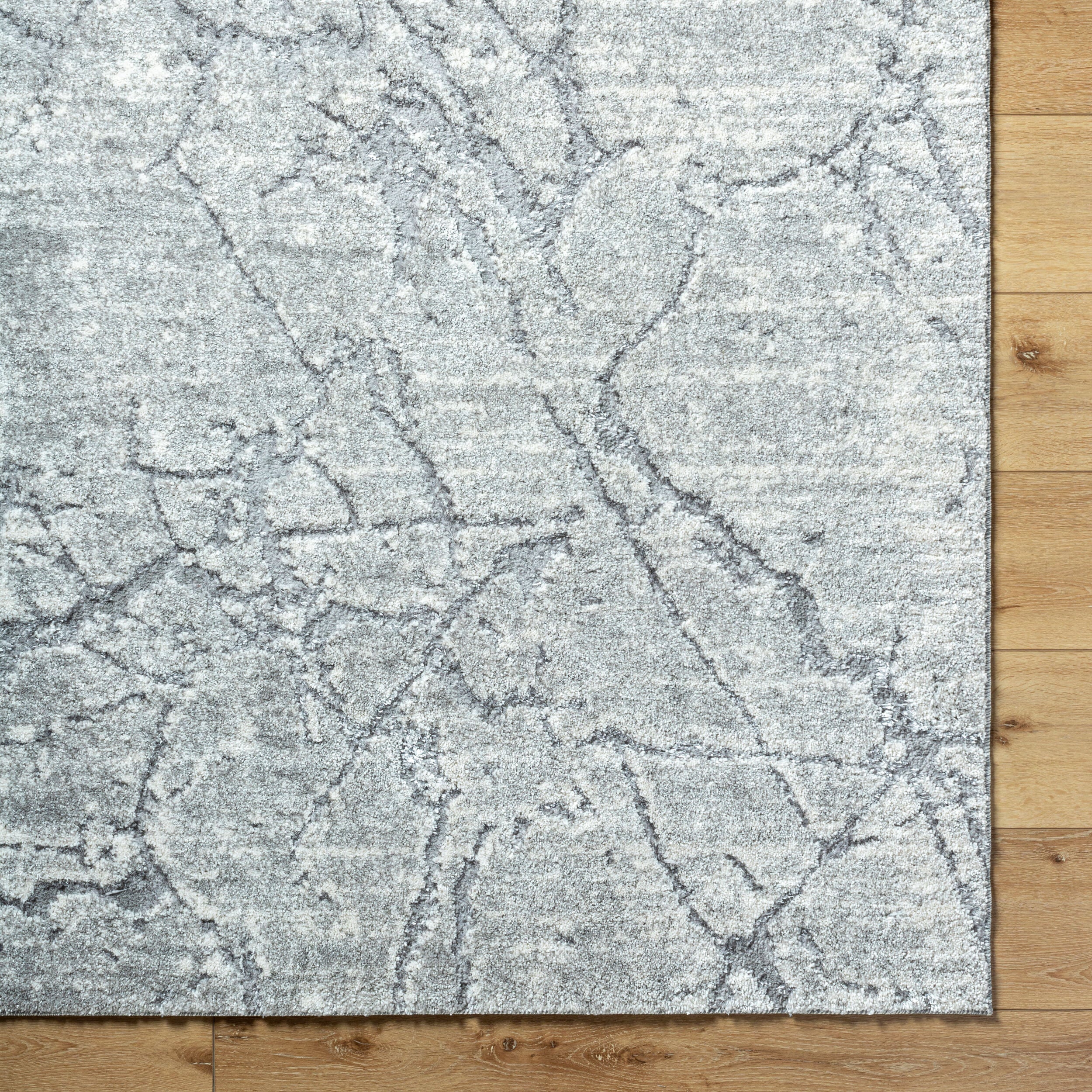 Andorra Plus ARP-2313 Light Gray Area Rug