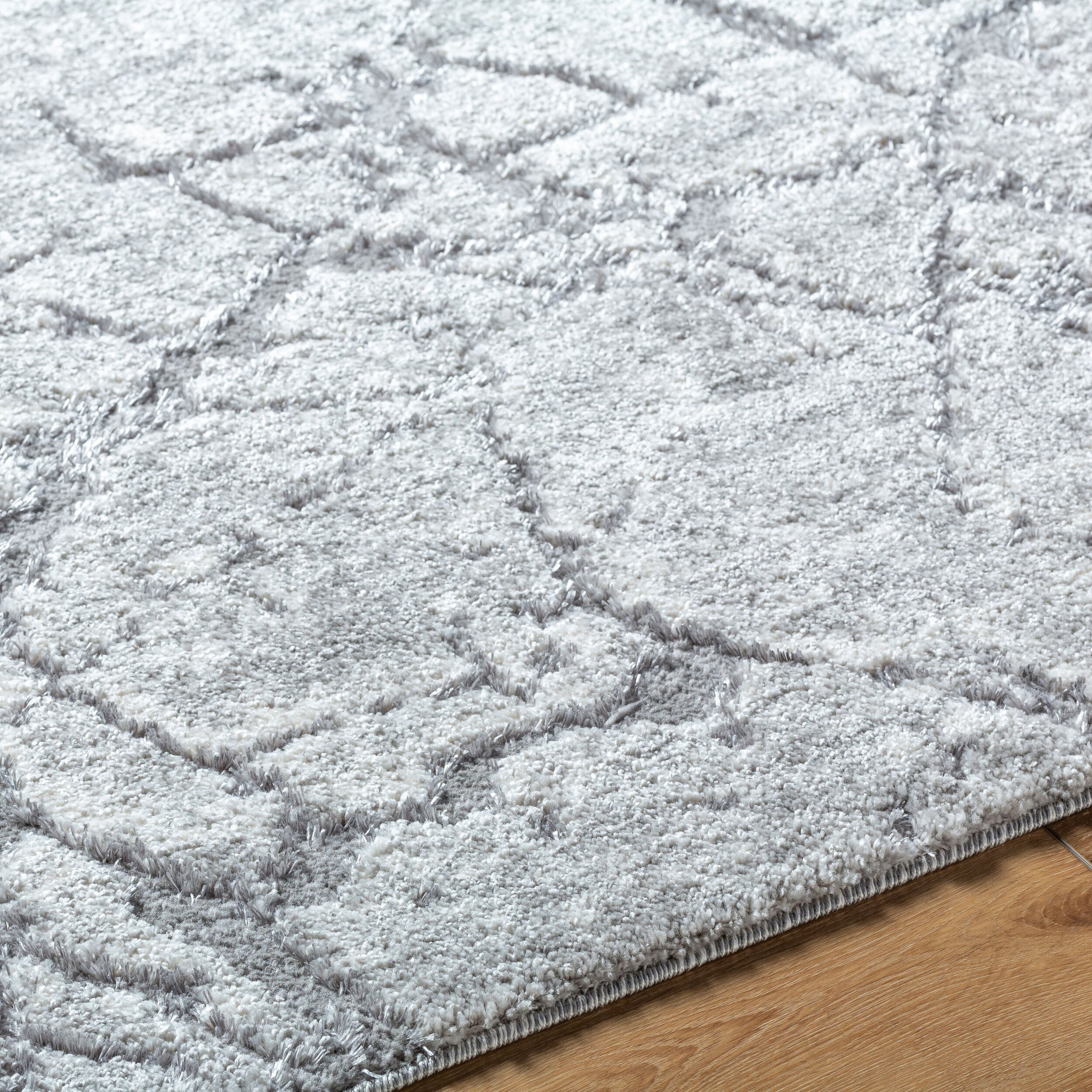 Andorra Plus ARP-2313 Light Gray Area Rug