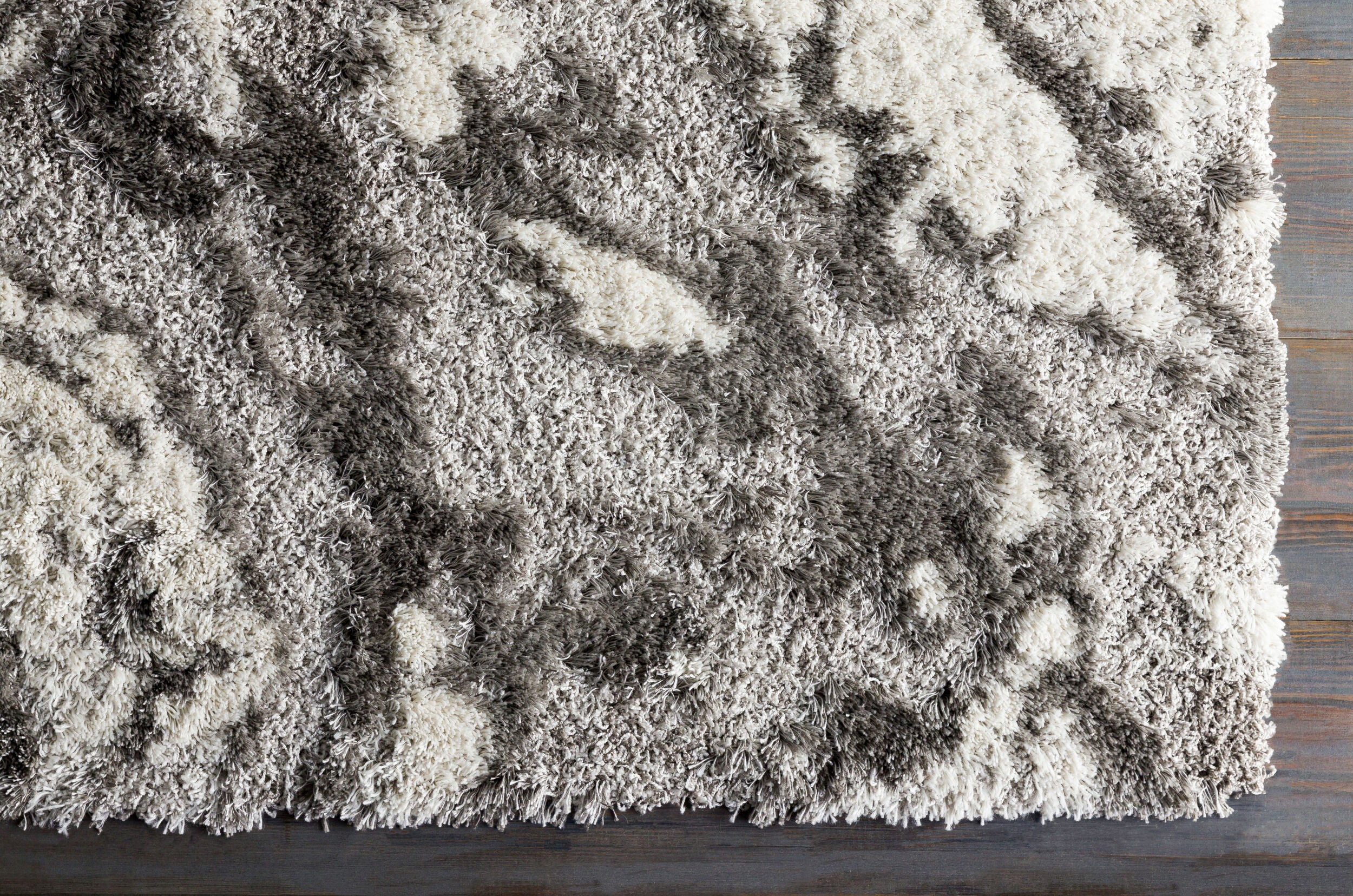 Surya Alta Shag ASG-2301 Gray Area Rug by LIVABLISS