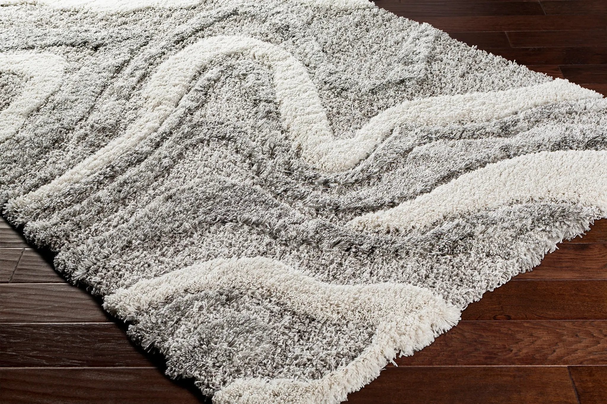 Alta Shag ASG-2303 Charcoal Area Rug by LIVABLISS
