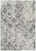 Surya Alta Shag ASG-2305 Off-White Area Rug by LIVABLISS