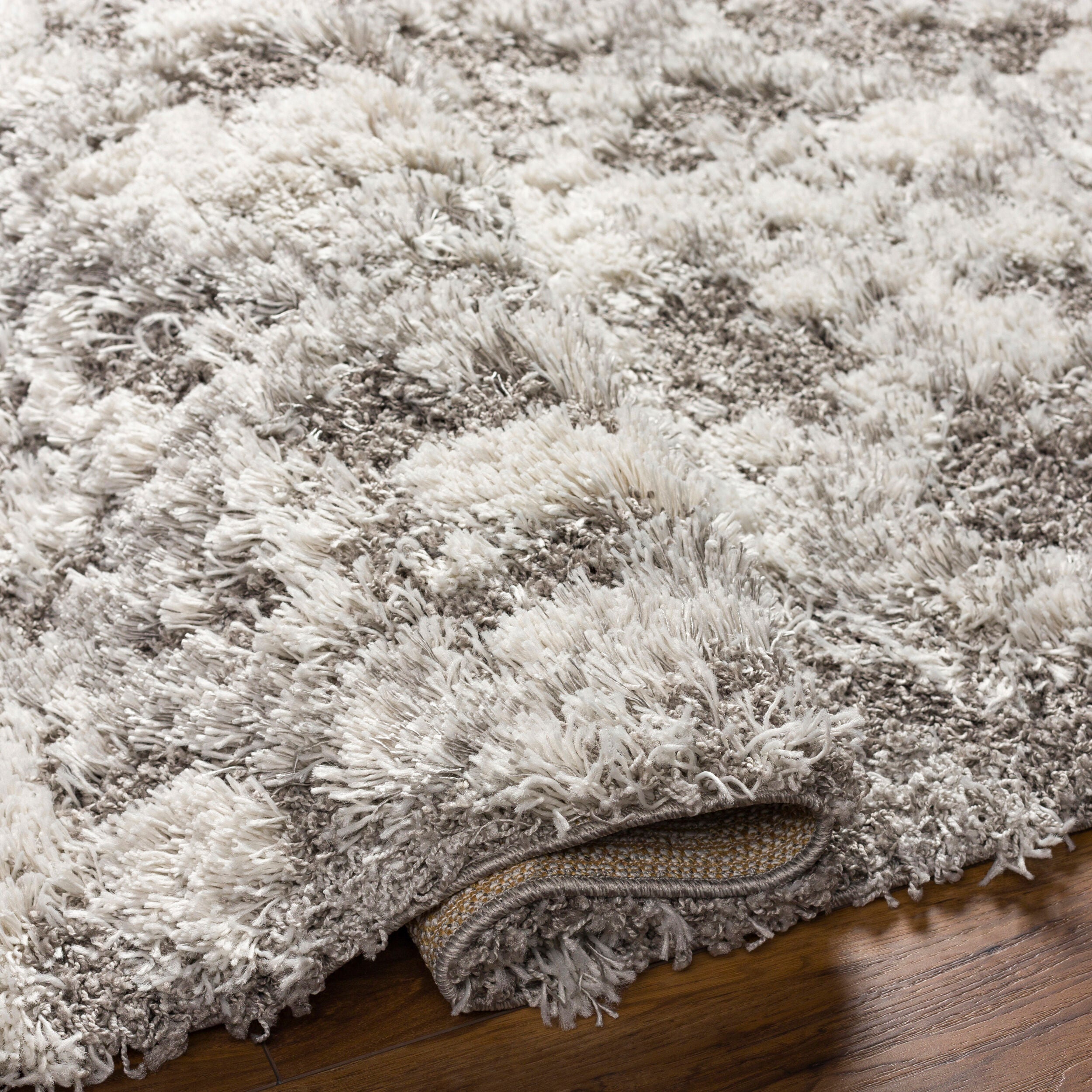 Surya Alta Shag ASG-2305 Off-White Area Rug by LIVABLISS