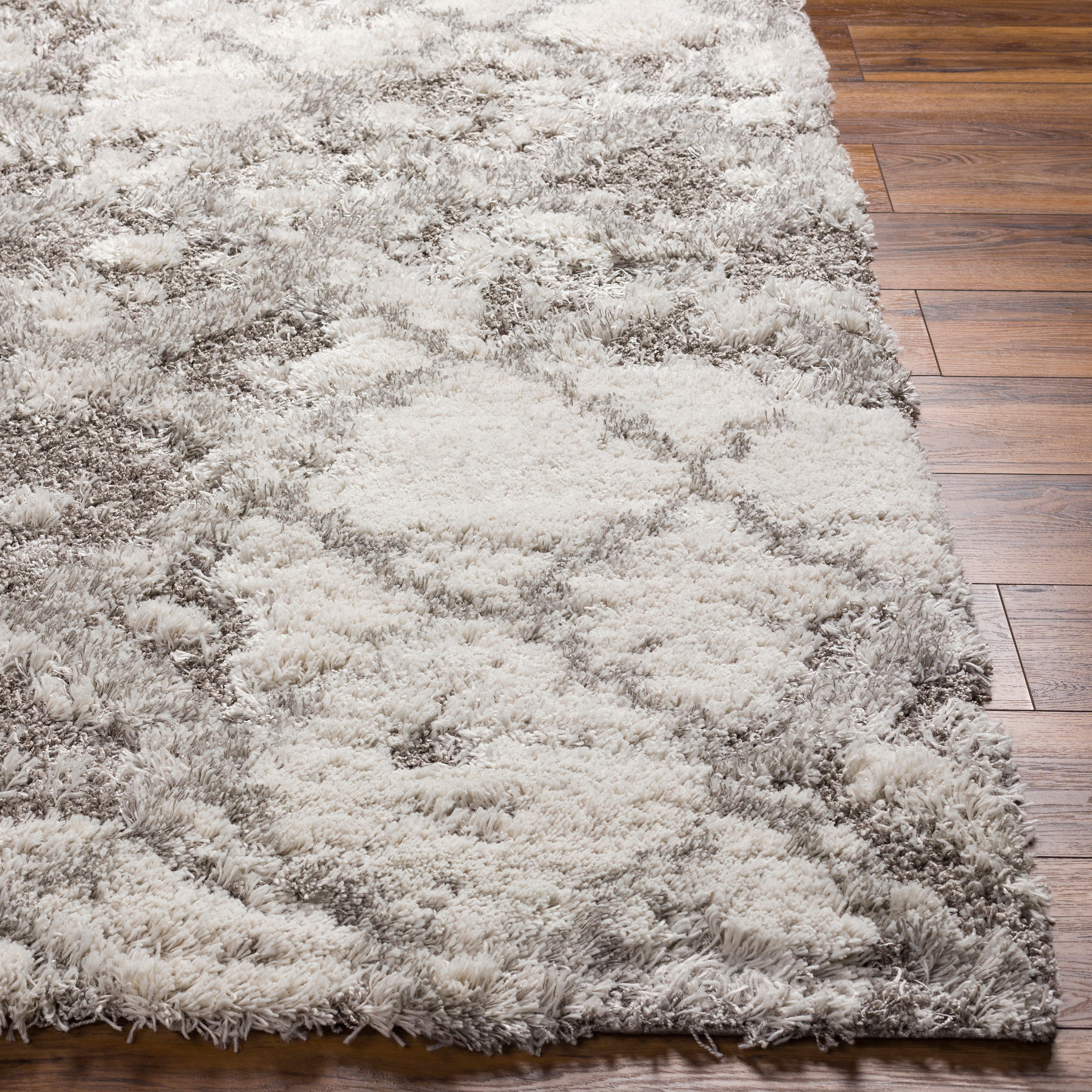 Surya Alta Shag ASG-2305 Off-White Area Rug by LIVABLISS