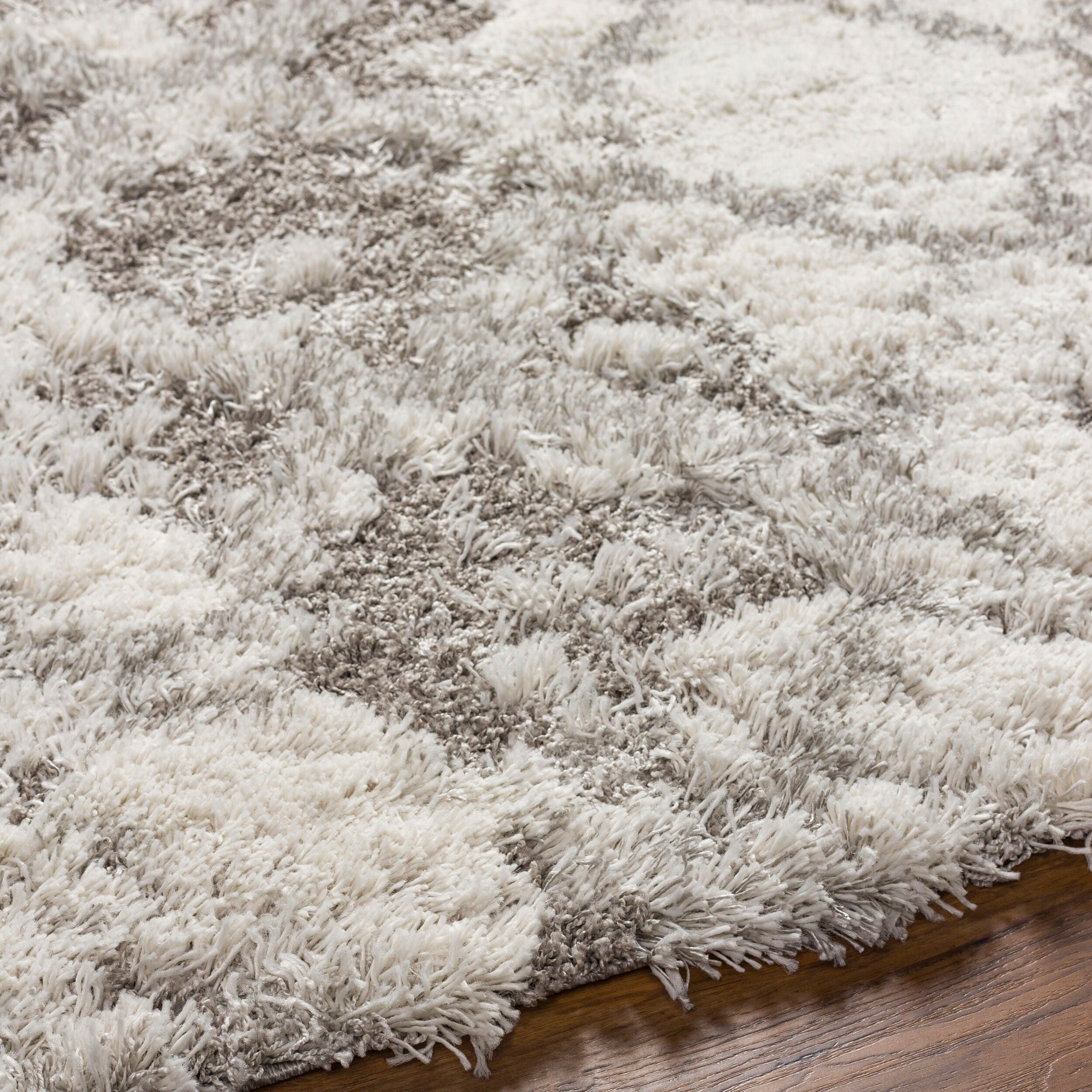 Surya Alta Shag ASG-2305 Off-White Area Rug by LIVABLISS
