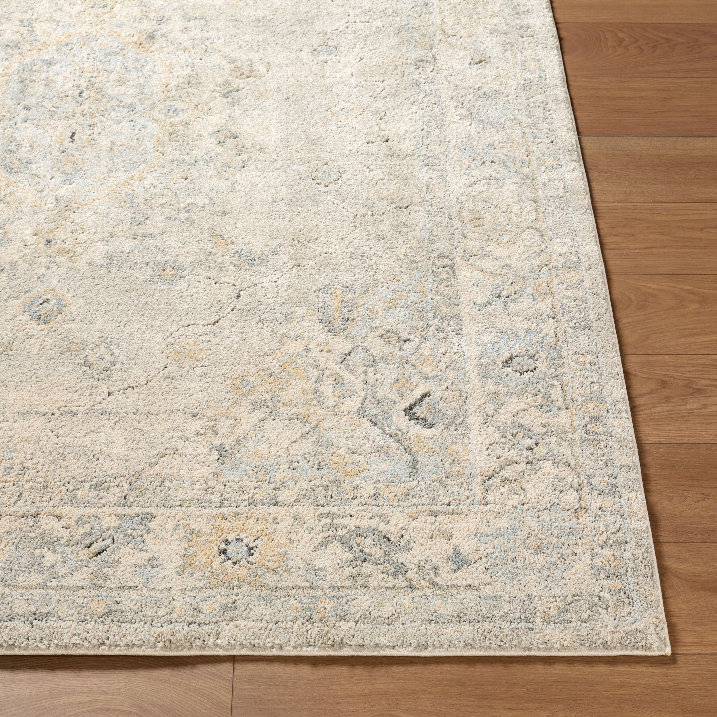 LIVABLISS Avellino AVL-2316 Light-Gray Area Rug