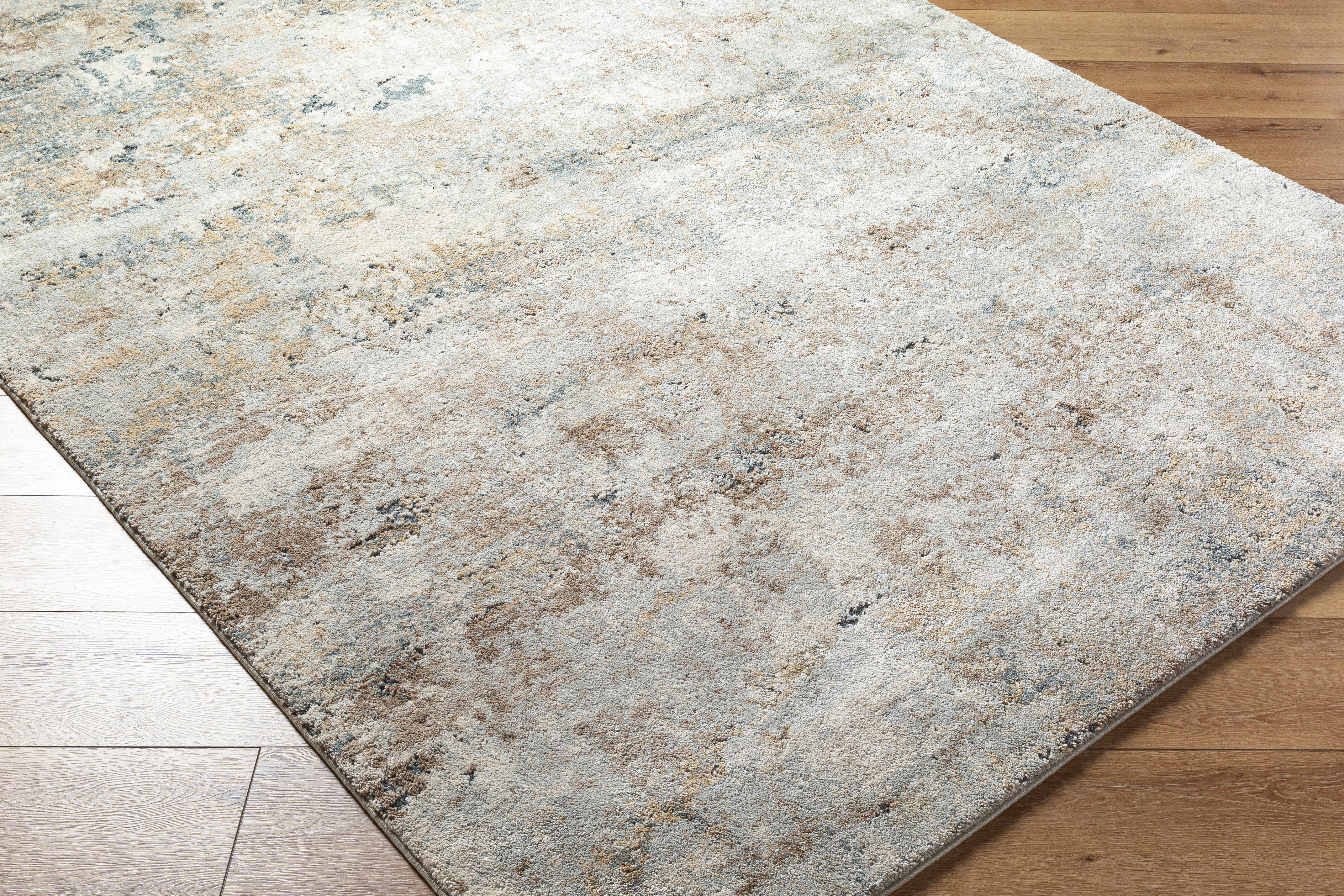 LIVABLISS Avellino AVL-2323 Light Gray Area Rug