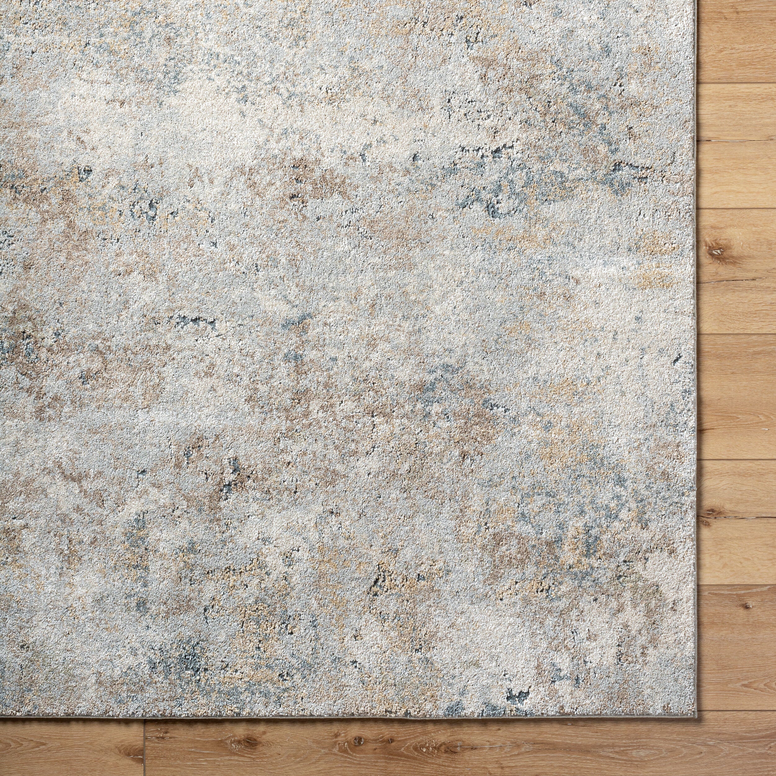LIVABLISS Avellino AVL-2323 Light Gray Area Rug