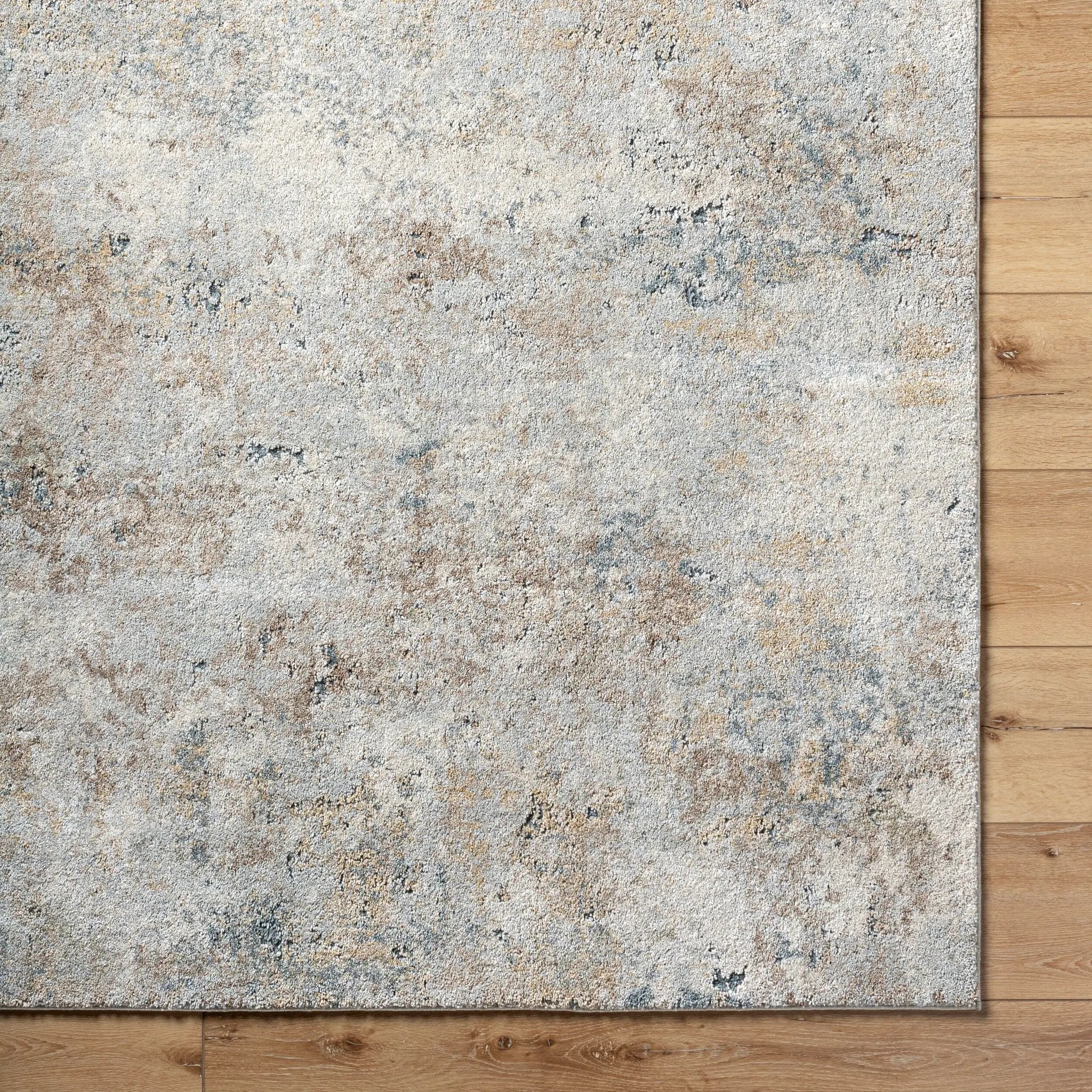 Avellino AVL-2323 Light-Gray Area Rug by LIVABLISS