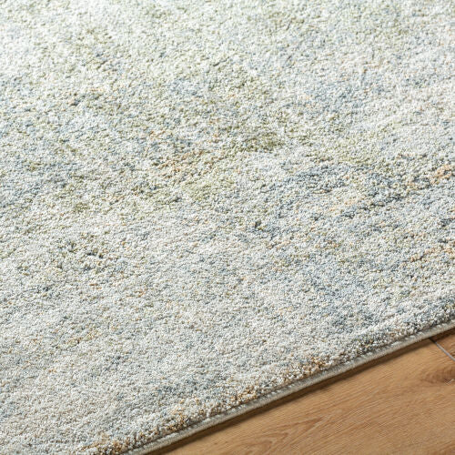 Surya Avellino AVL-2328 Light Beige Area Rug by LIVABLISS