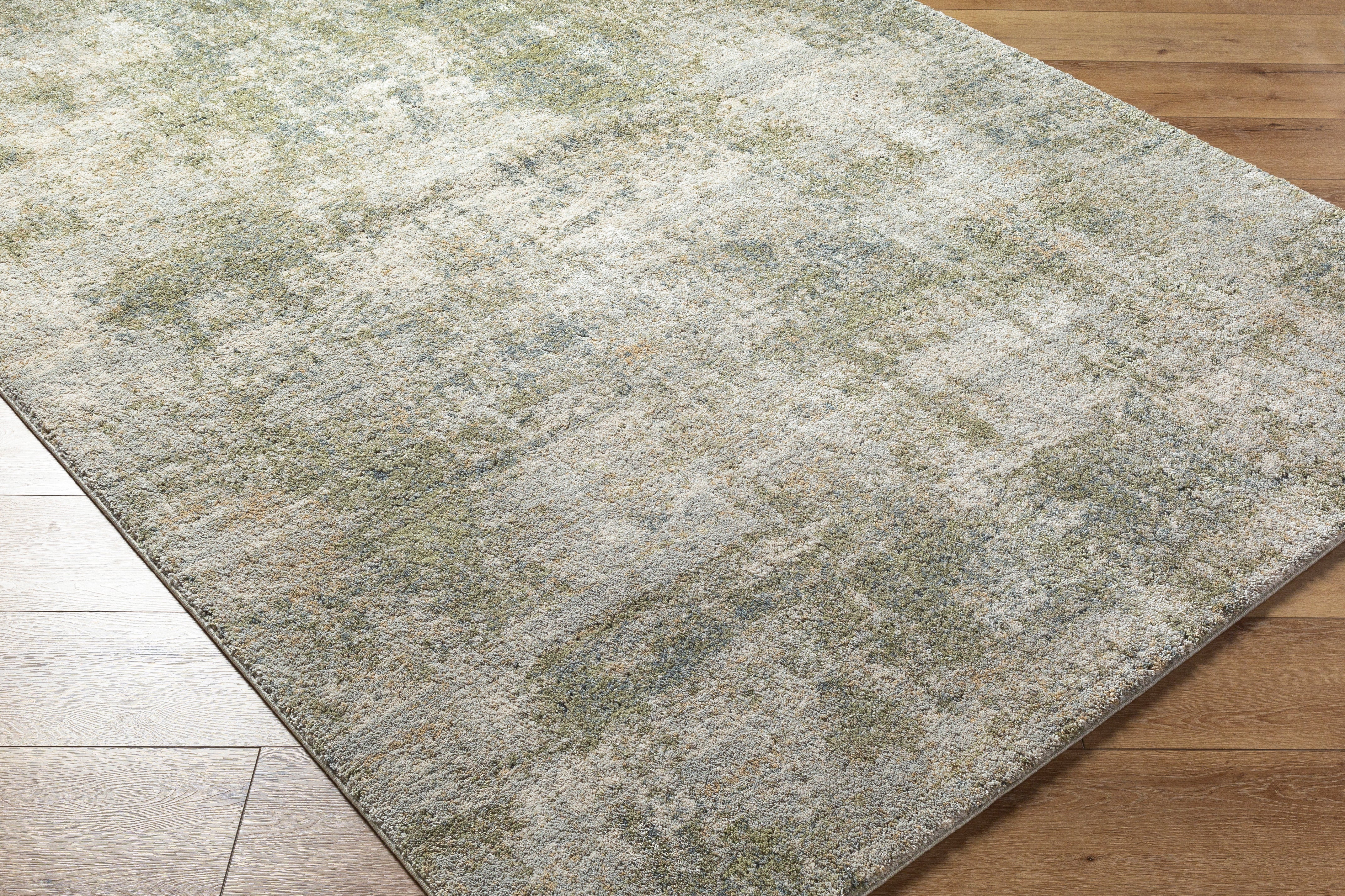 Surya Avellino AVL-2336 Light Gray Area Rug by LIVABLISS