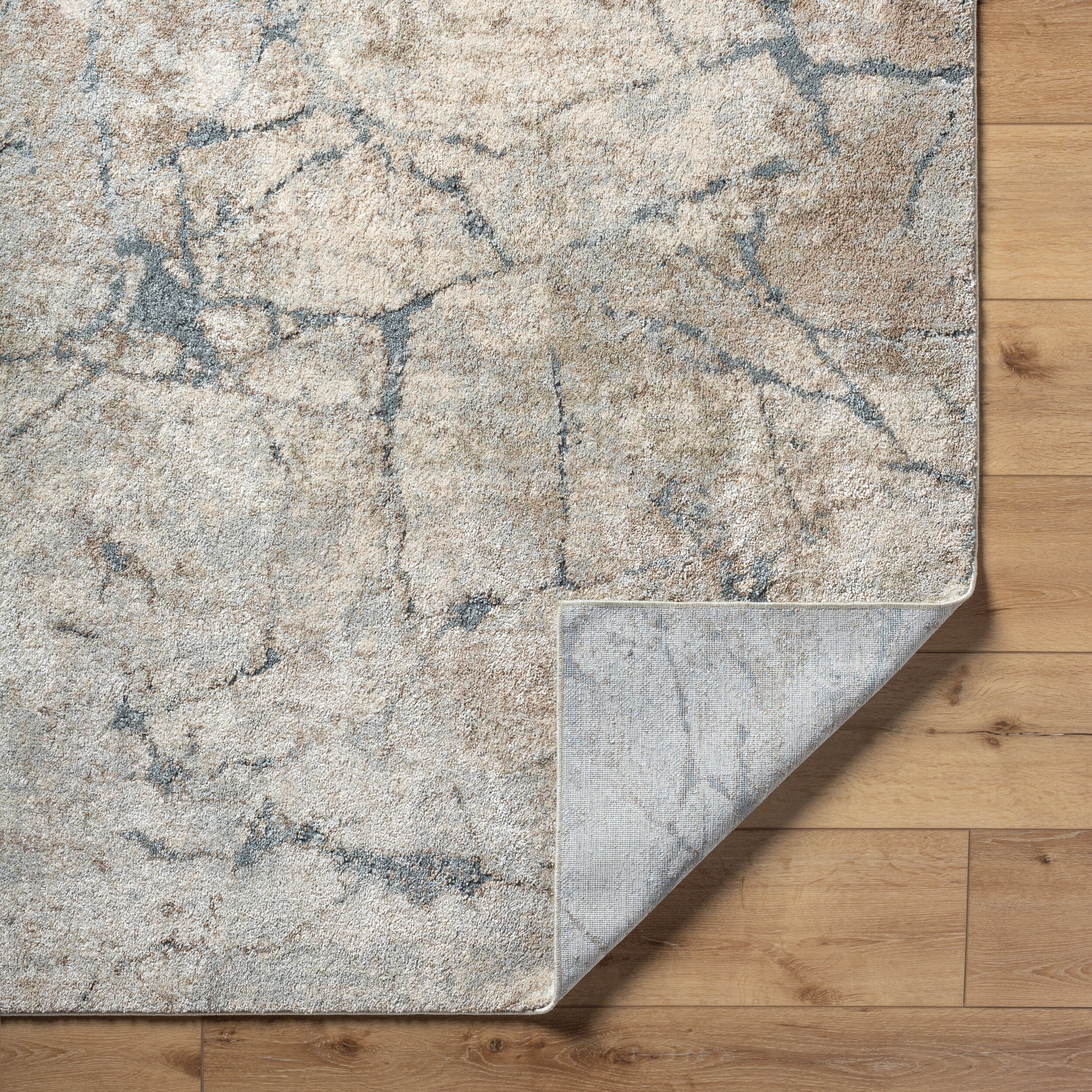 Surya Avellino AVL-2339 Light Beige Area Rug by LIVABLISS