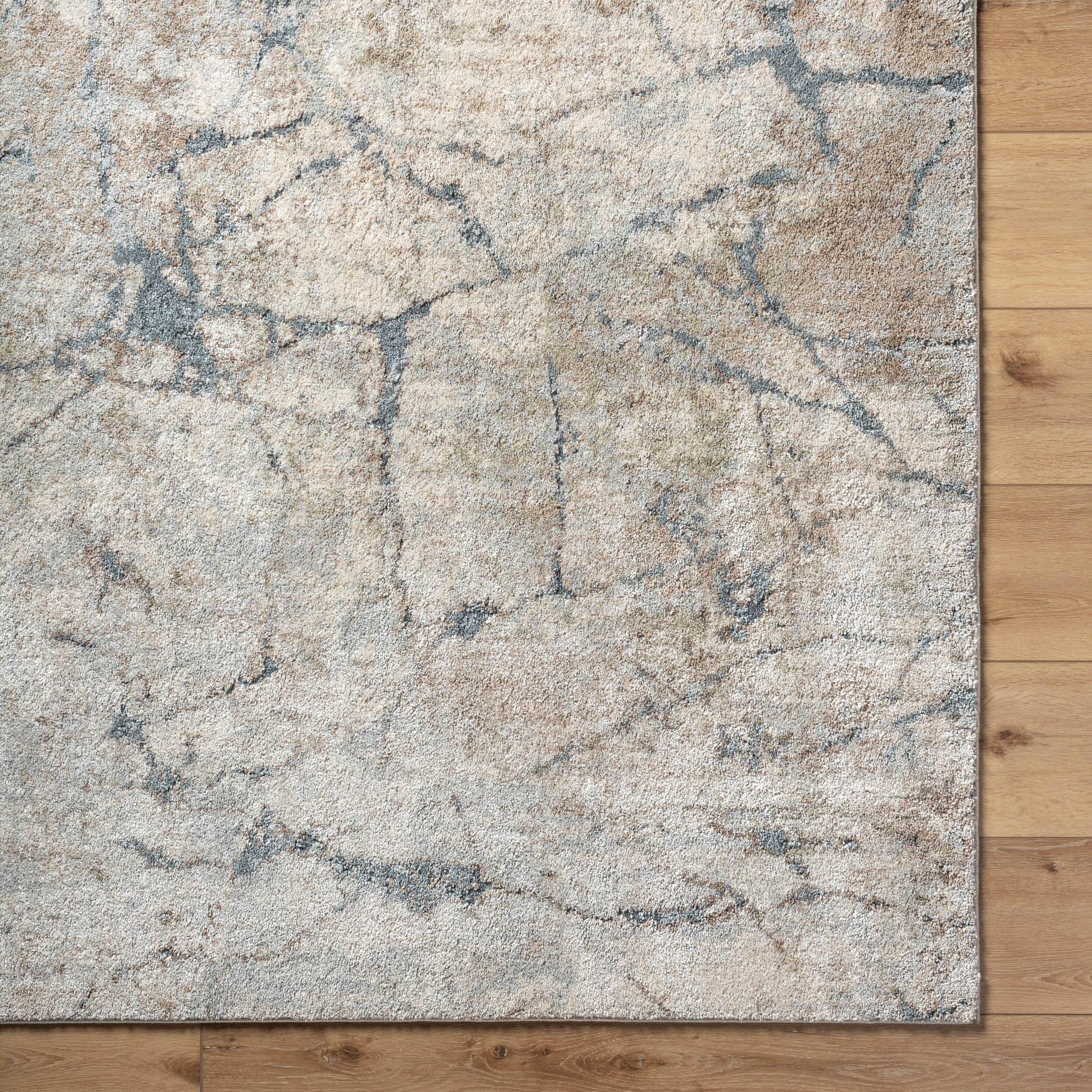 Surya Avellino AVL-2339 Light Beige Area Rug by LIVABLISS