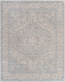 LIVABLISS Avant Garde AVT-2301 Gray Area Rug