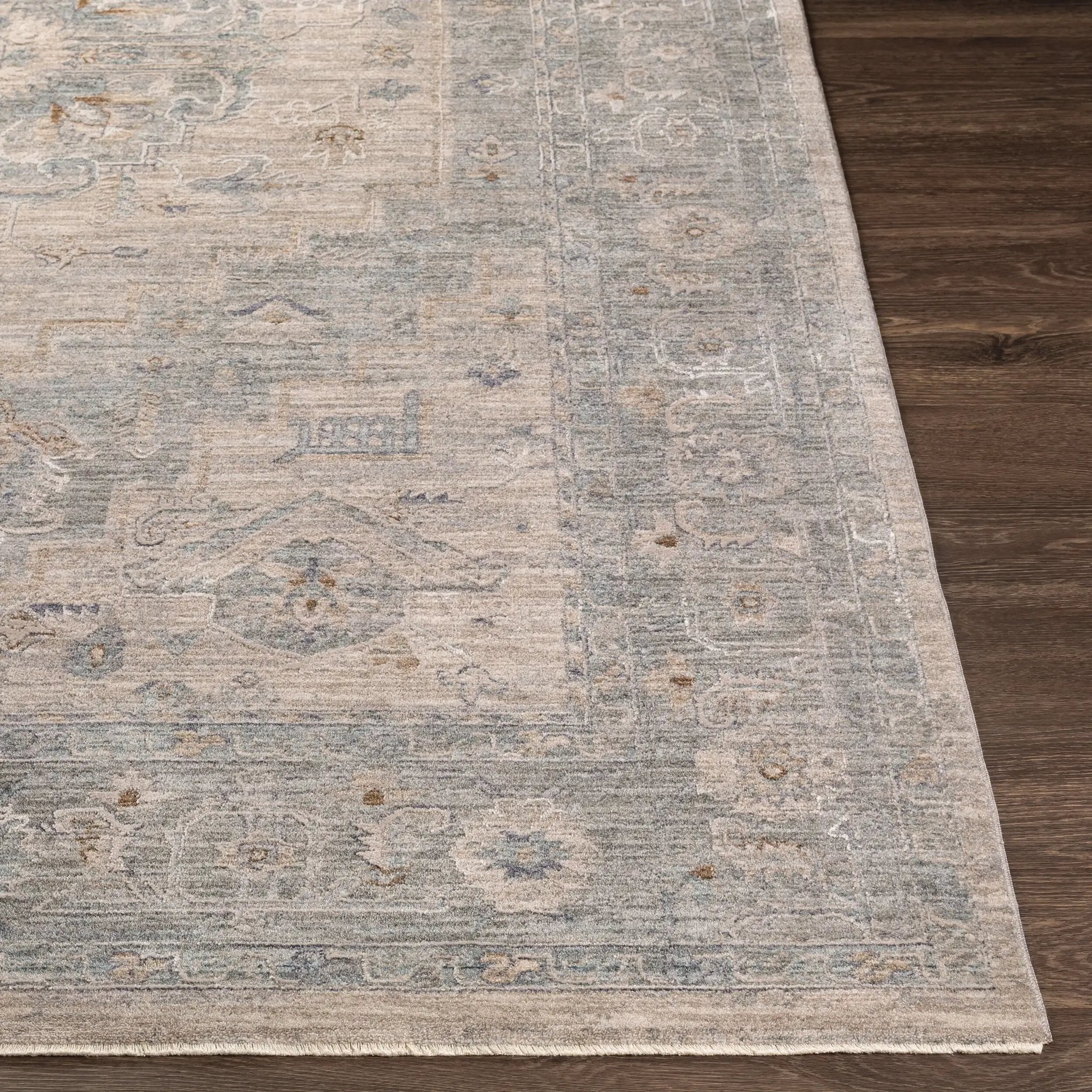 Avant Garde AVT-2302 Gray Area Rug by LIVABLISS